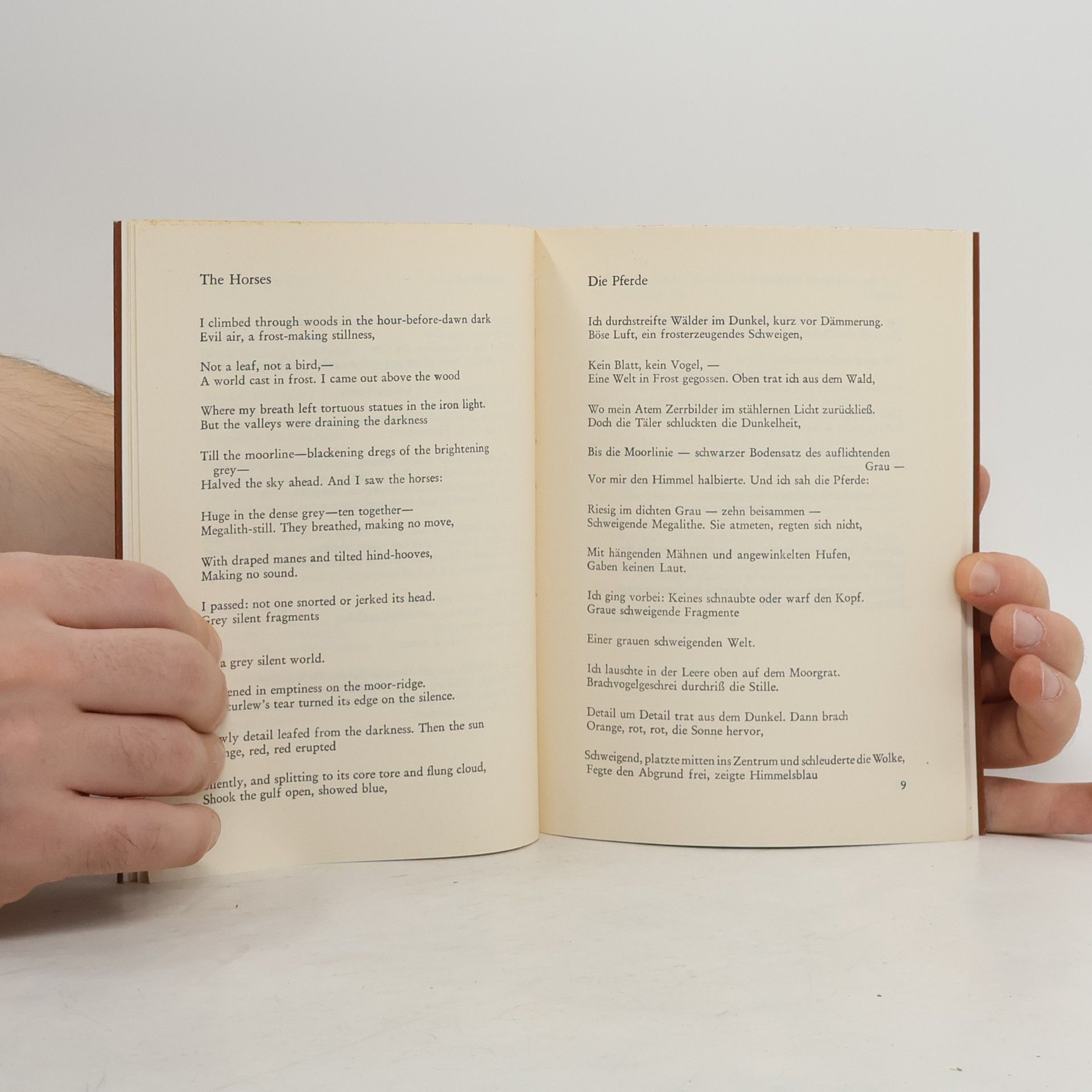 Ted Hughes Gedanken-Fuchs. Gedichte