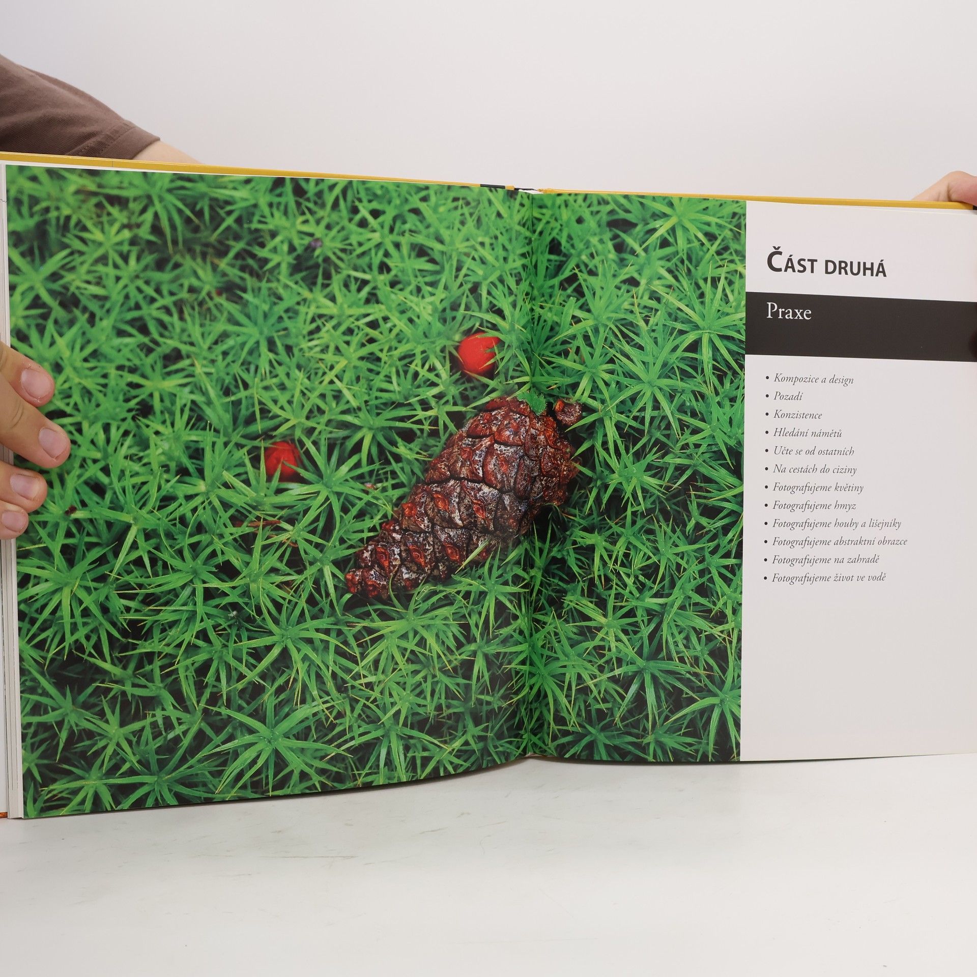 Robert Thompson Naučte se fotografovat dobře makro a detail