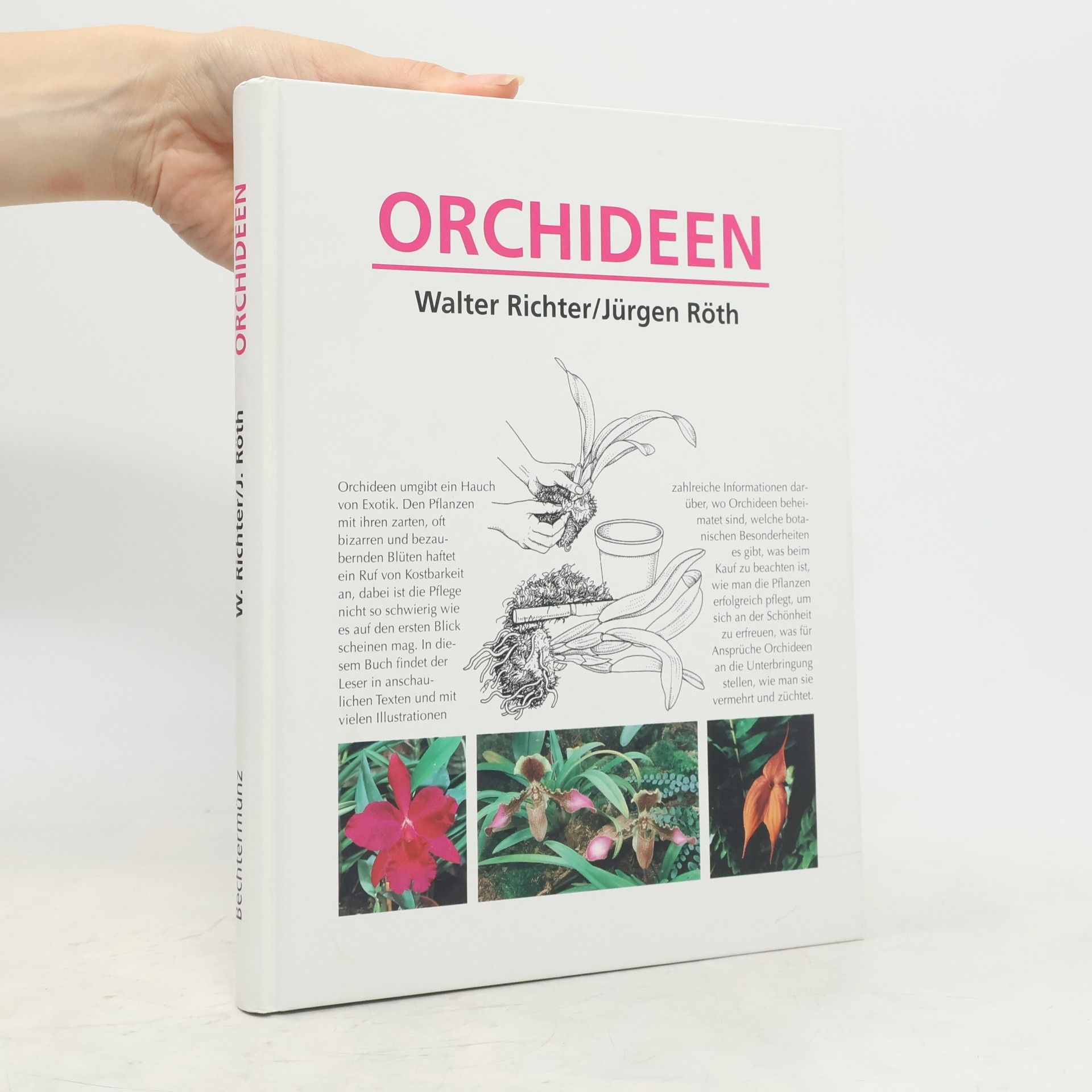 Walter Richter Orchideen