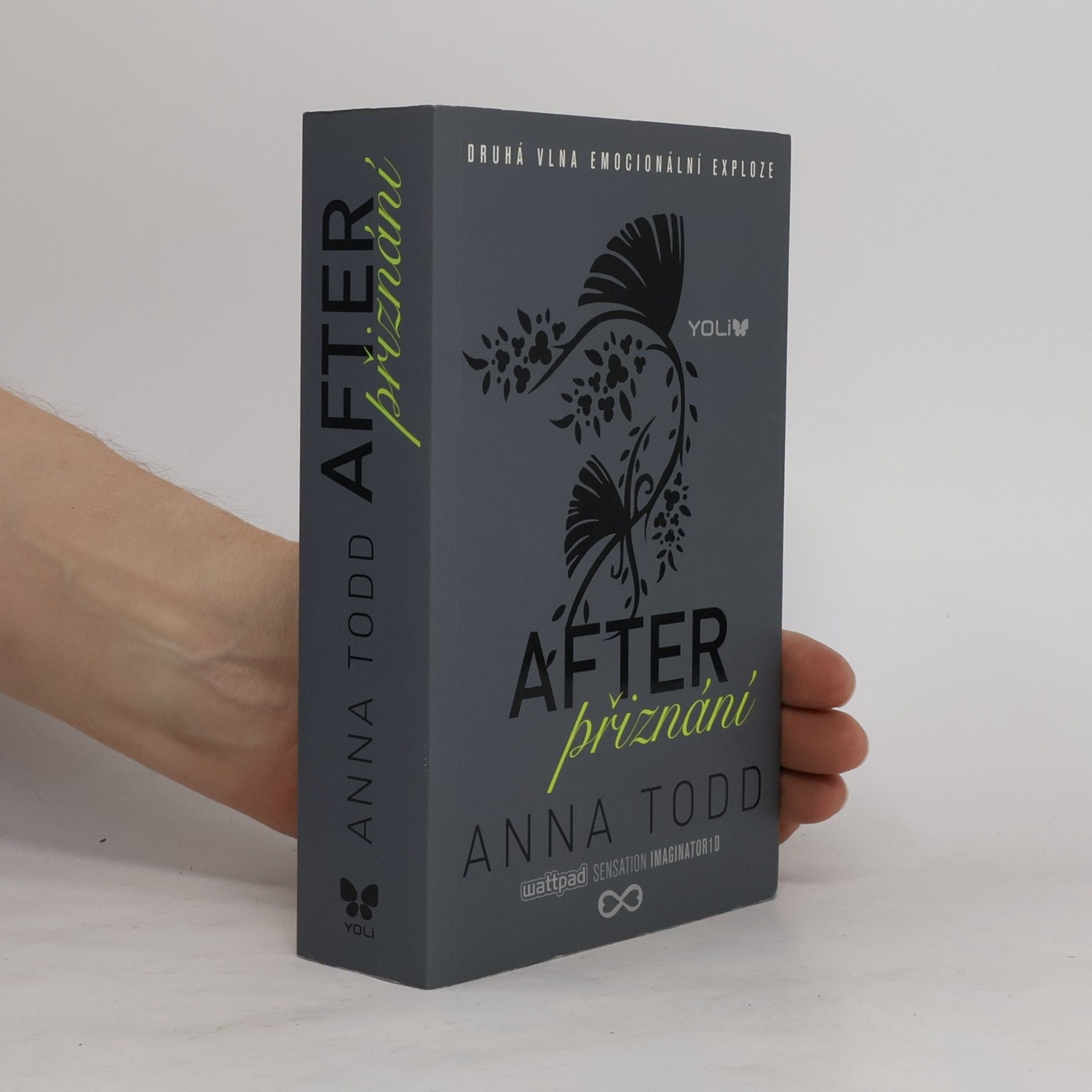 Anna Todd After. Přiznání