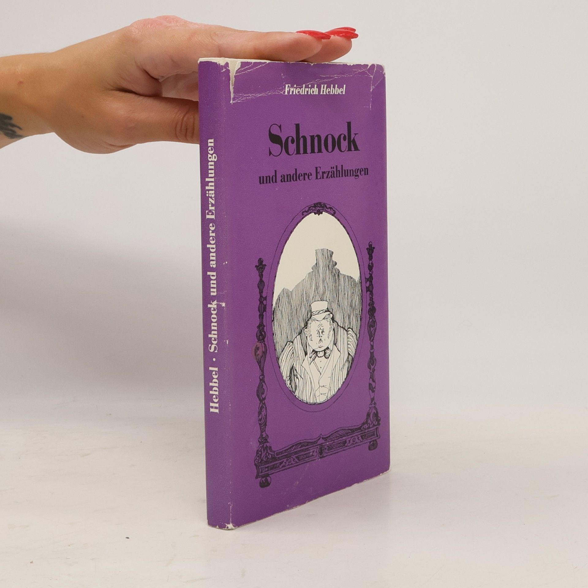 Christian Friedrich Hebbel Schnock und andere Erzählungen