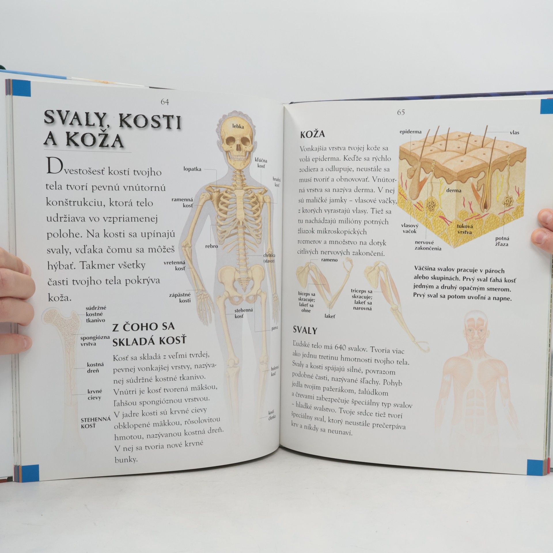 Auteurscollectief Náš svet pre zvedavé deti