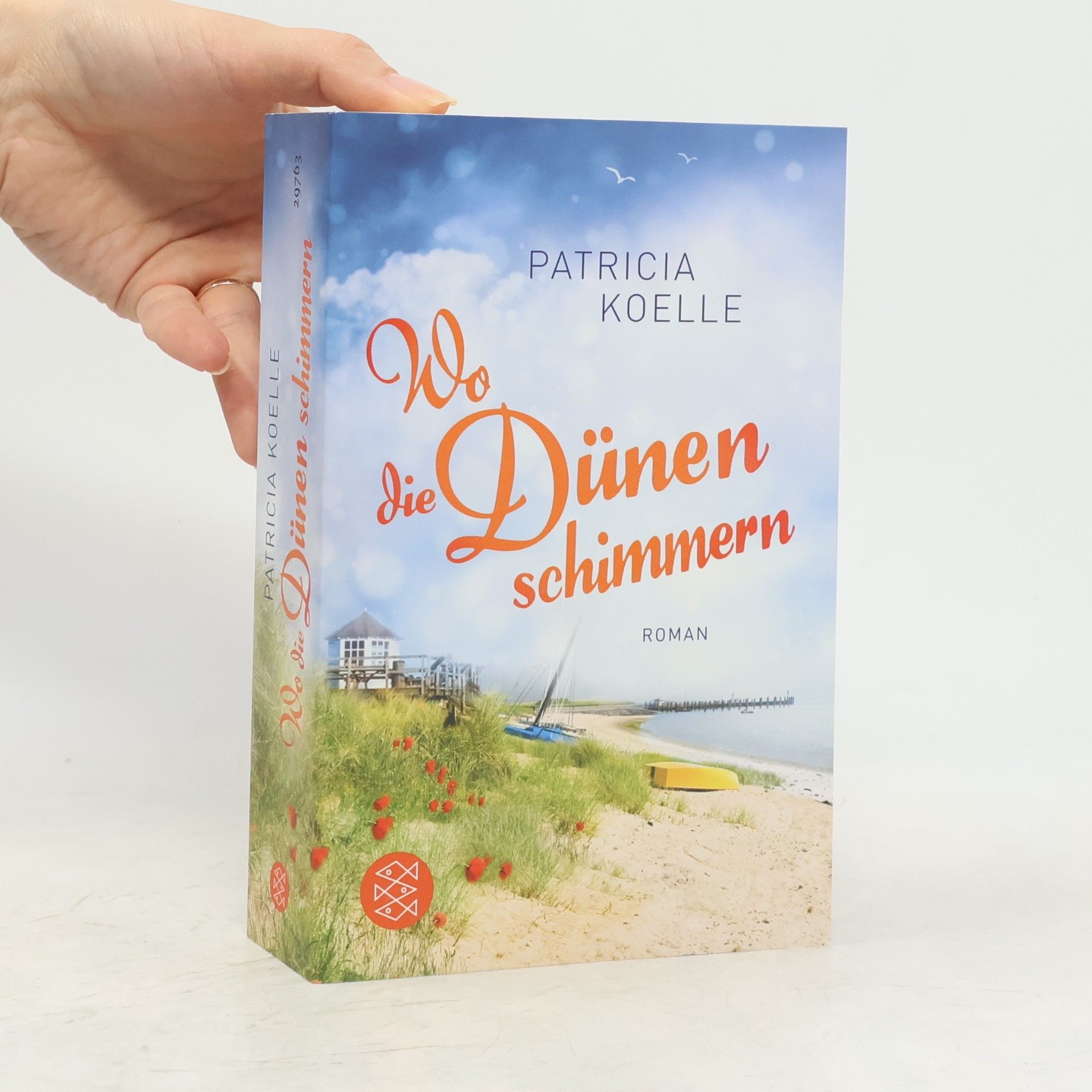Patricia Koelle Wo die Dünen schimmern