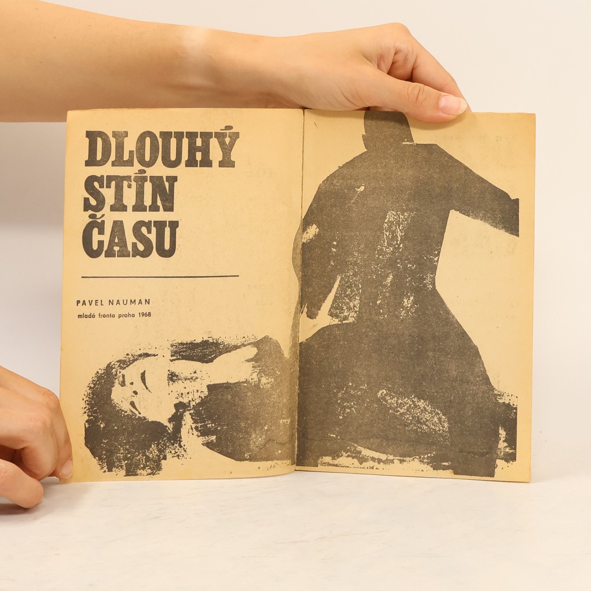 Pavel Nauman Dlouhý stín času