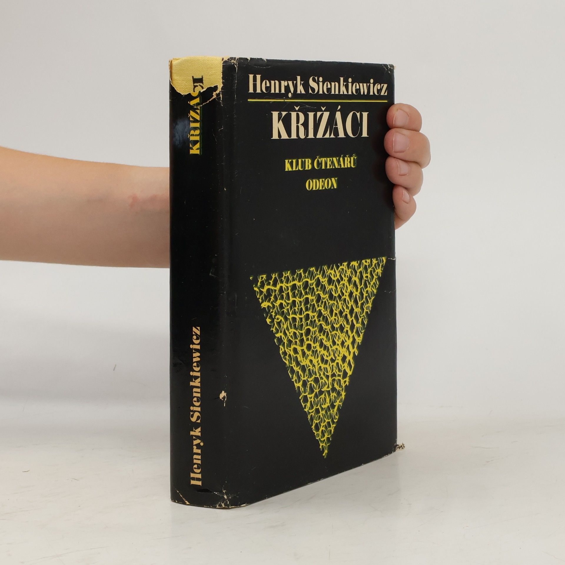 Henryk Sienkiewicz Křižáci