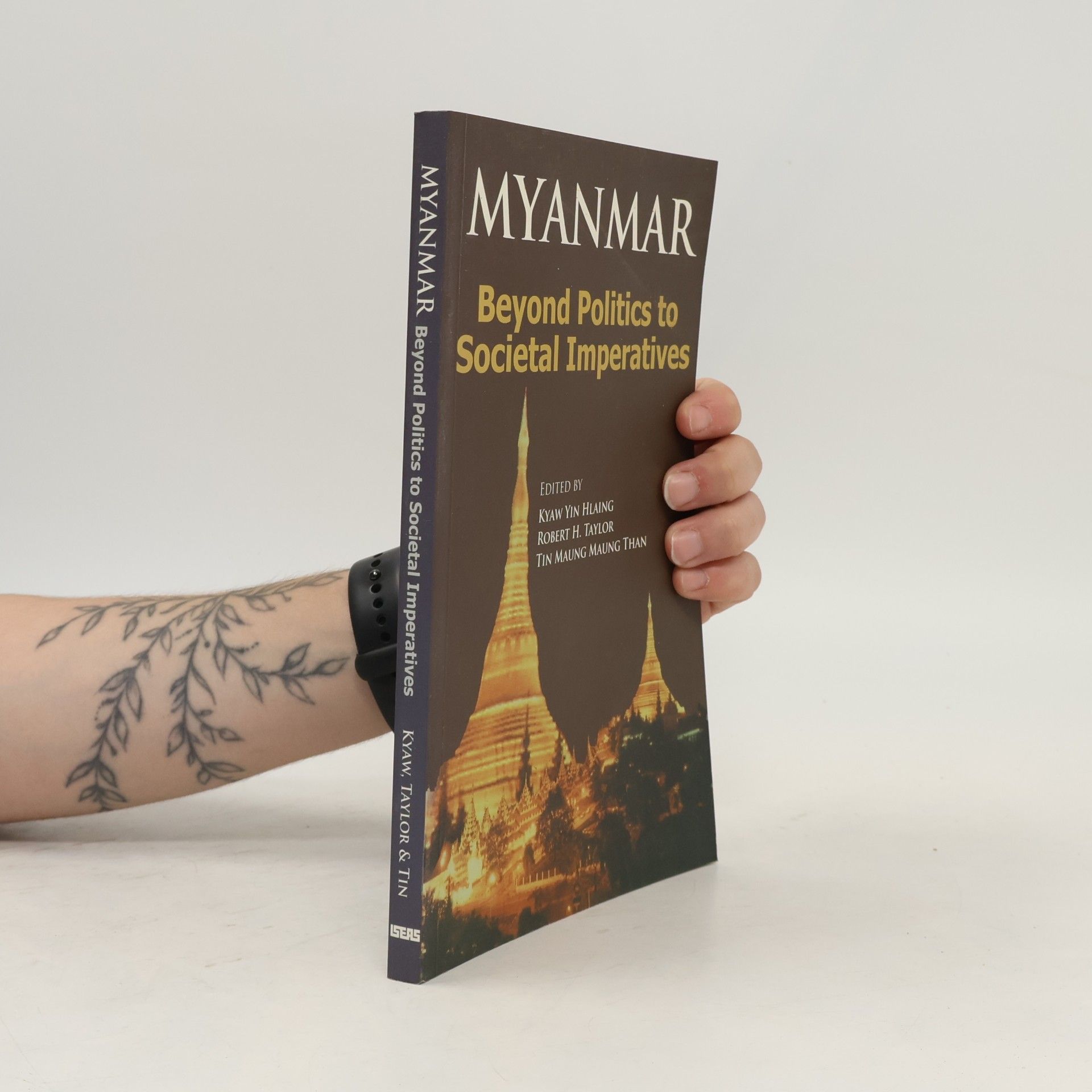 Robert H. Taylor Myanmar