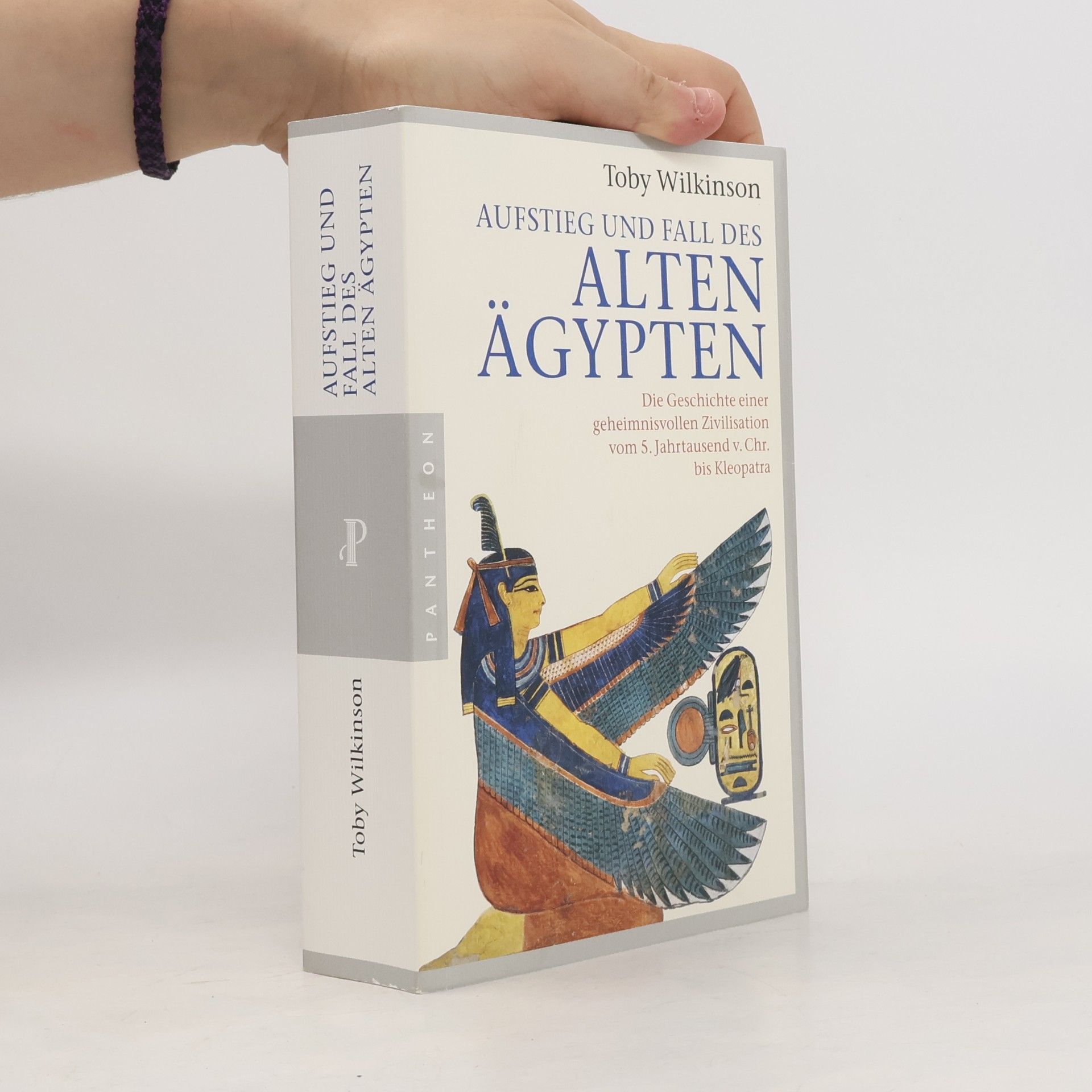 Toby Wilkinson Aufstieg und Fall des alten Ägypten