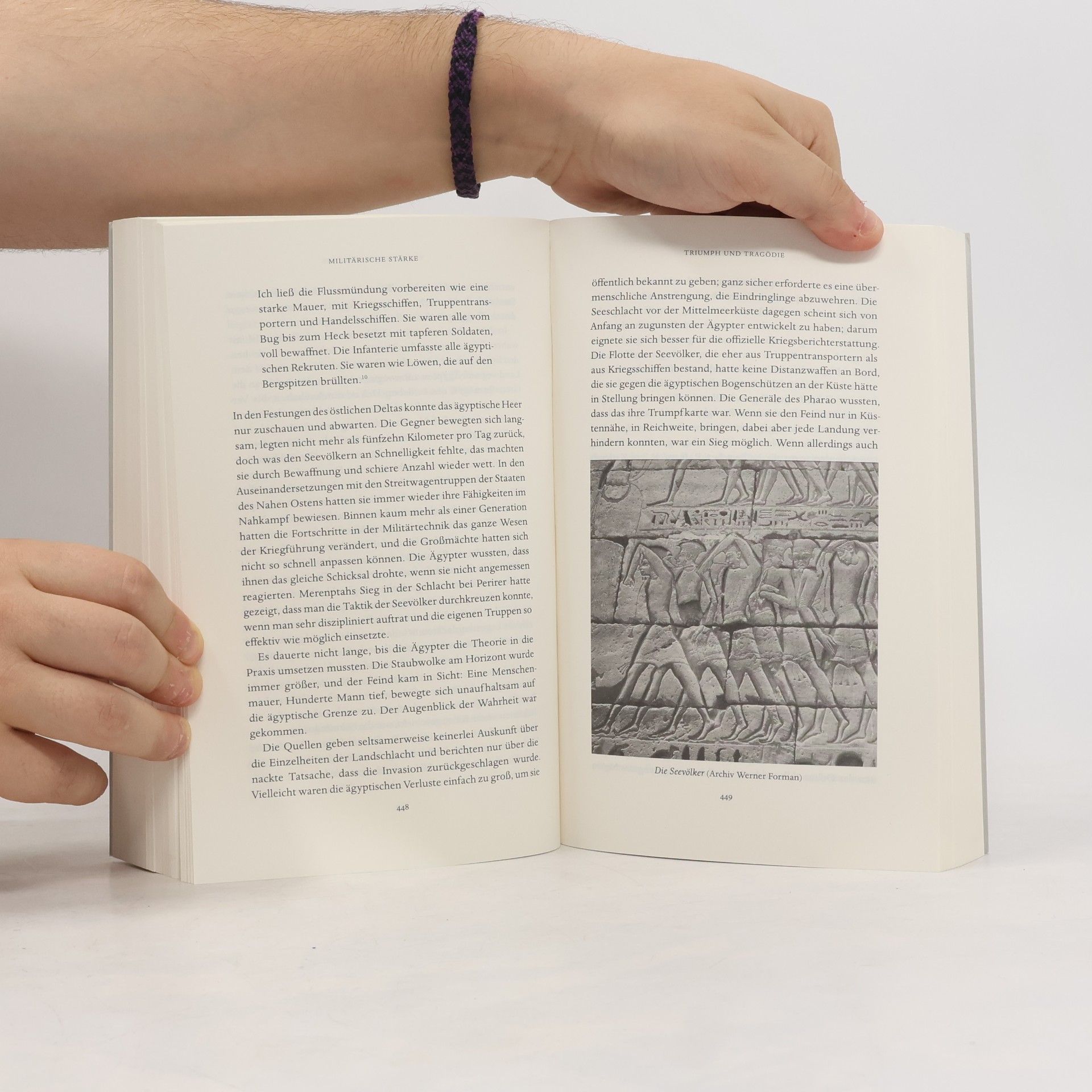 Toby A. H. Wilkinson Aufstieg und Fall des alten Ägypten