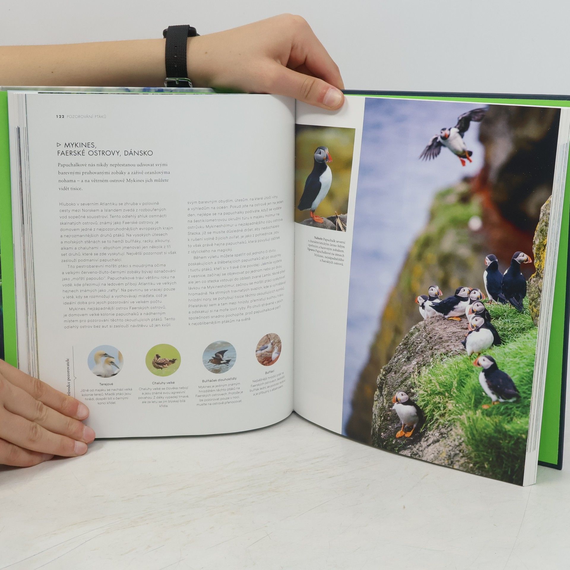 Ludmila Hálová Outdoor Evropa : neuvěřitelná dobrodružství, úžasné zážitky a úniky do přírody