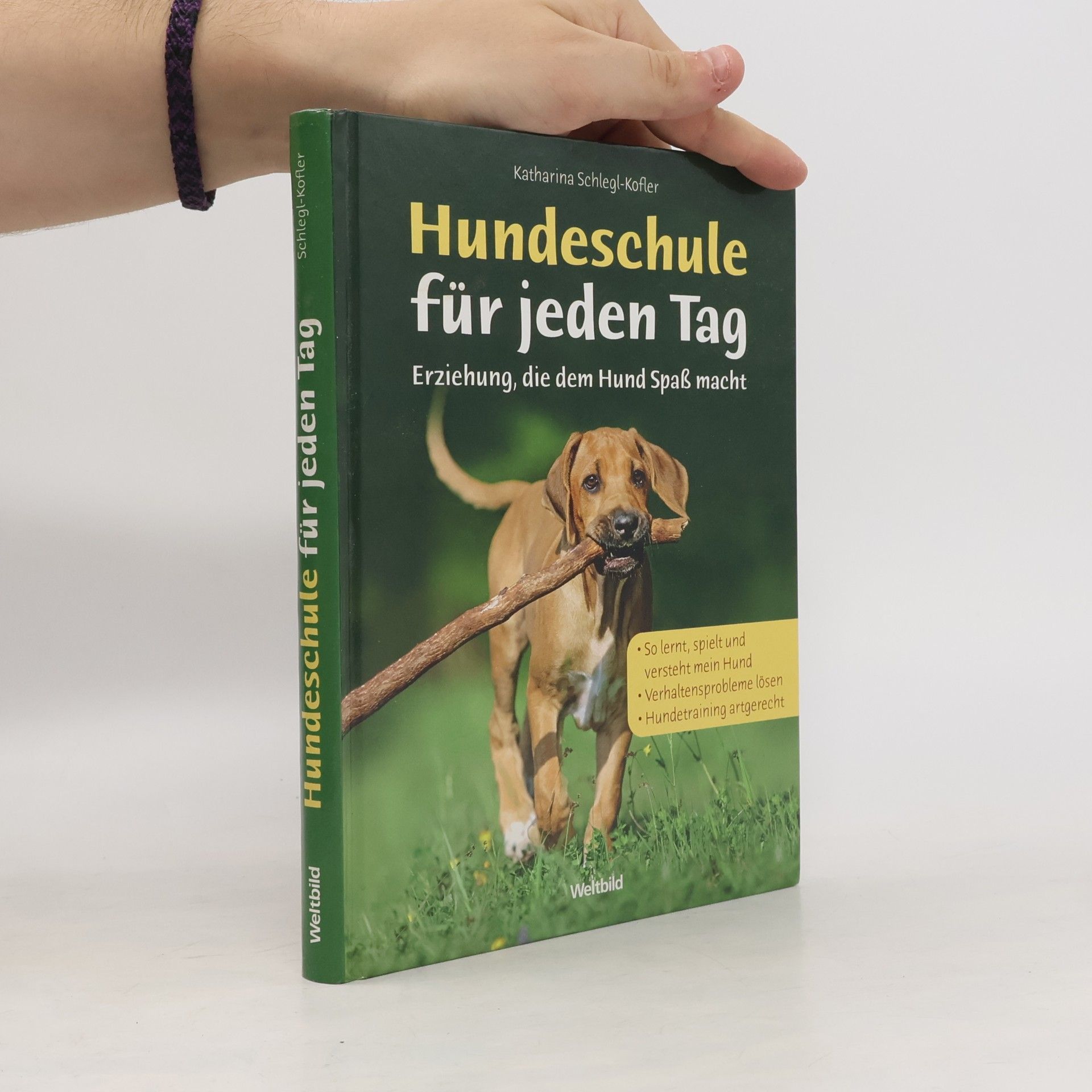 Katharina Schleg Kofler Hundeschule für jeden Tag