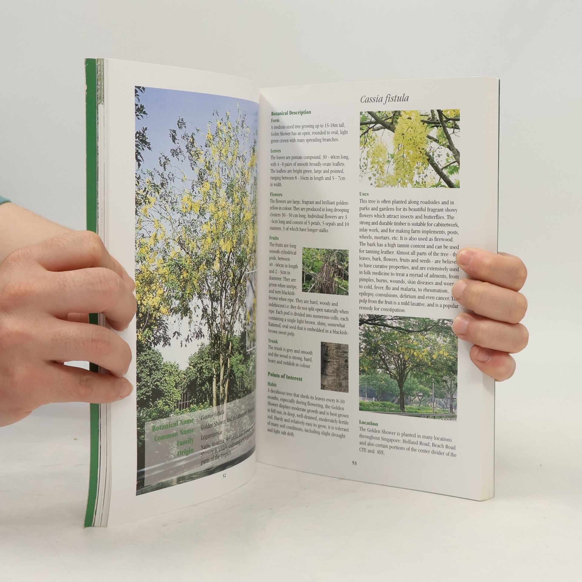 Tee Swee Ping Trees of Our Garden City