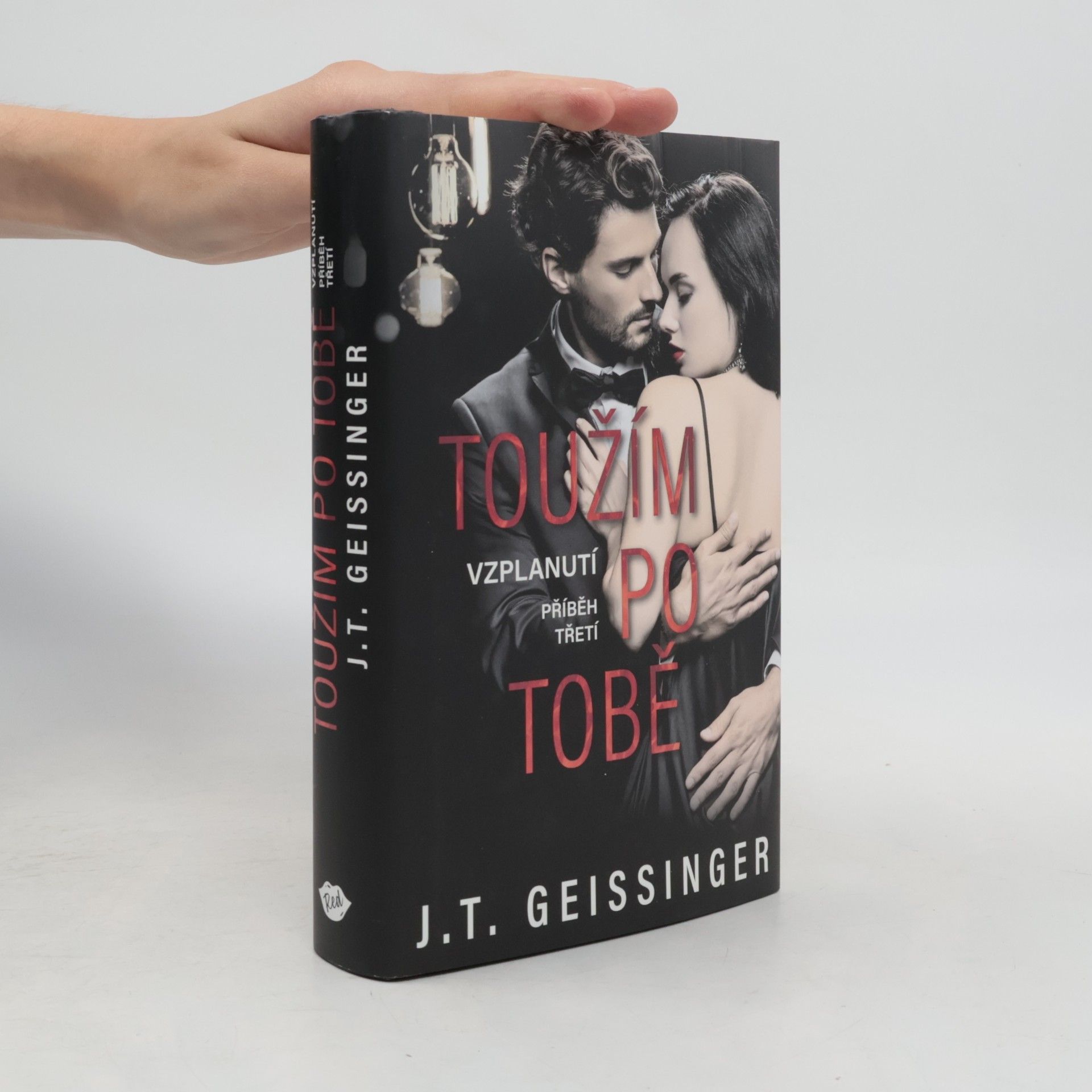 J. T. Geissinger Toužím po tobě