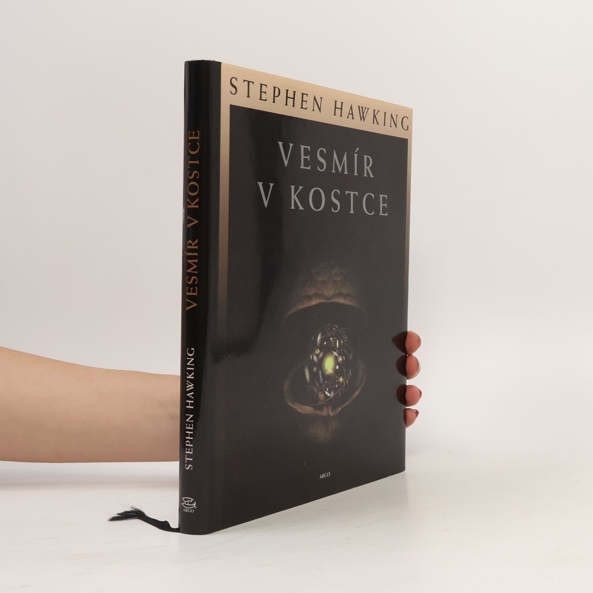 Stephen Hawking Vesmír v kostce