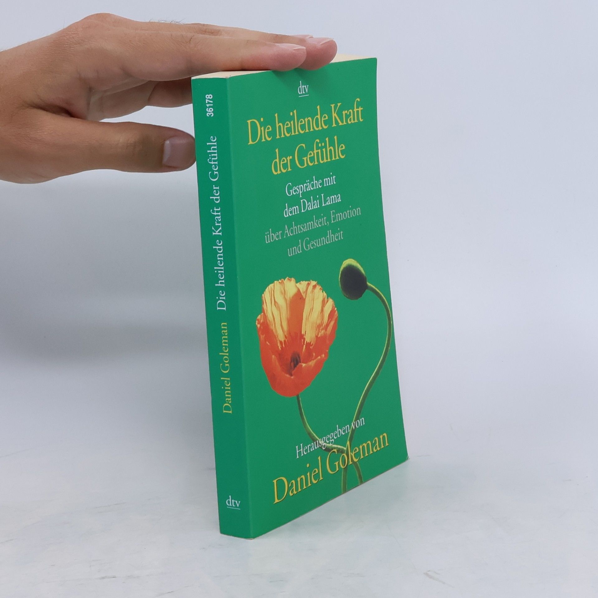 Bstan-vdzin-rgya-mtsho Die heilende Kraft der Gefühle