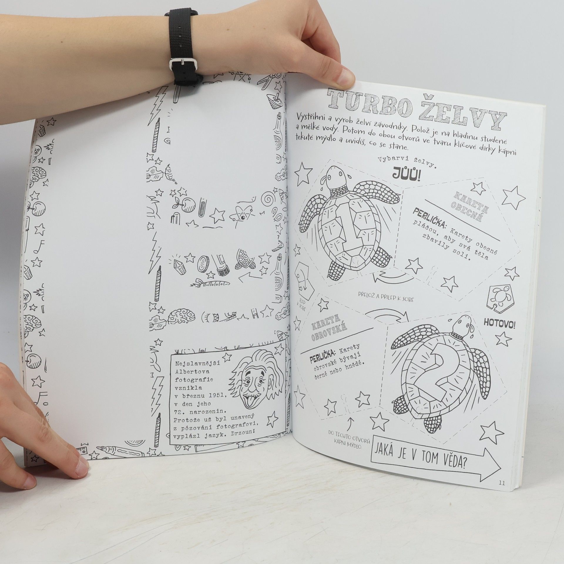 Mike Barfield Tuhle knihu znič ve jménu vědy: Verze Einstein