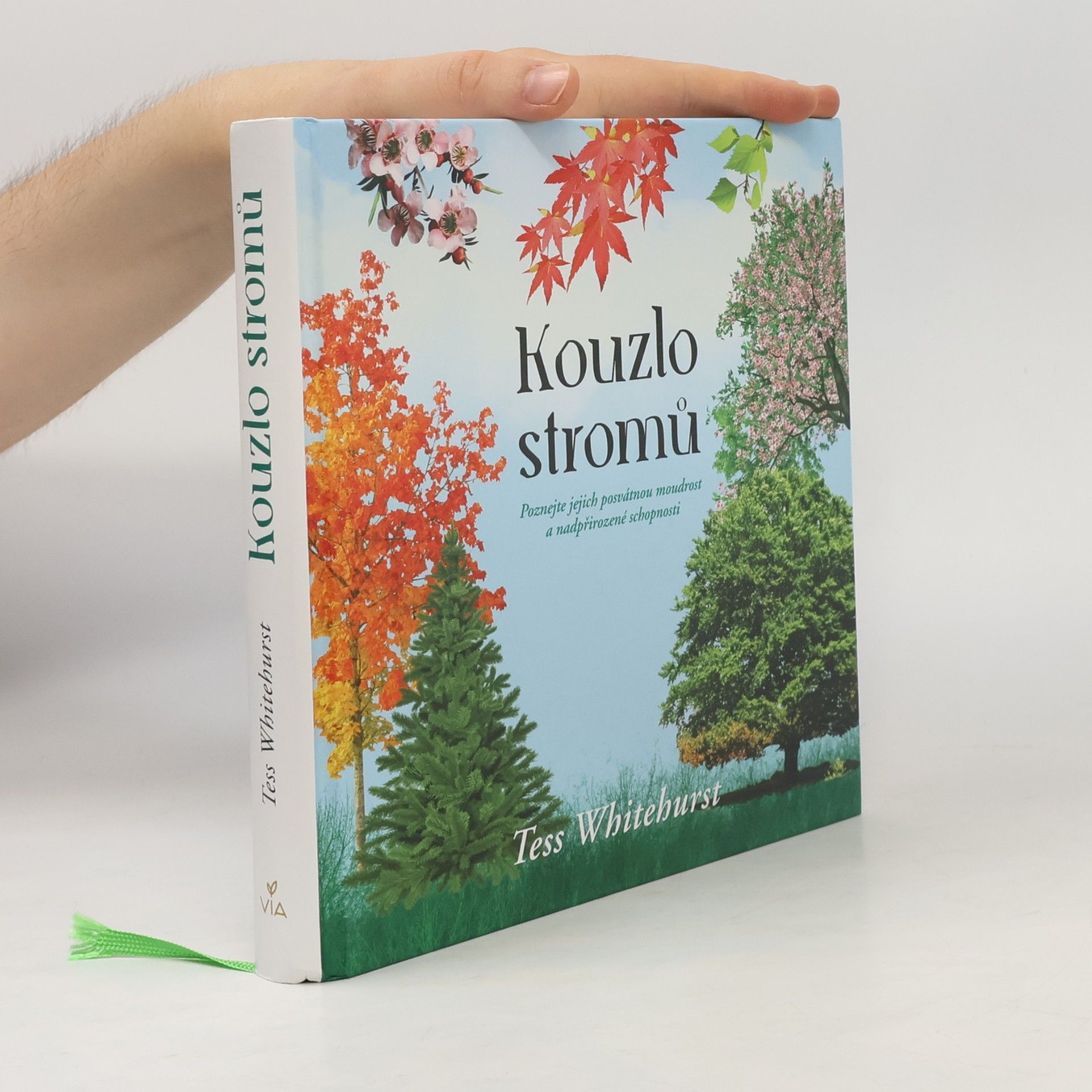 Tess Whitehurst Kouzlo stromů : poznejte jejich posvátnou moudrost a nadpřirozené schopnosti