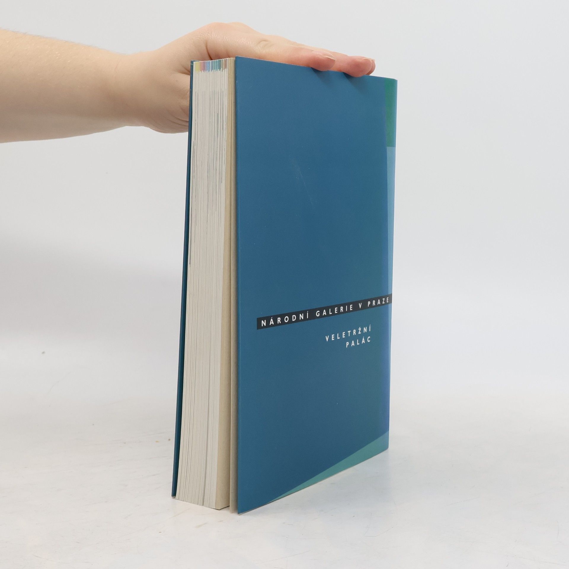 Autorenkollektiv České moderní umění 1900-1960 (katalog stálé expozice)