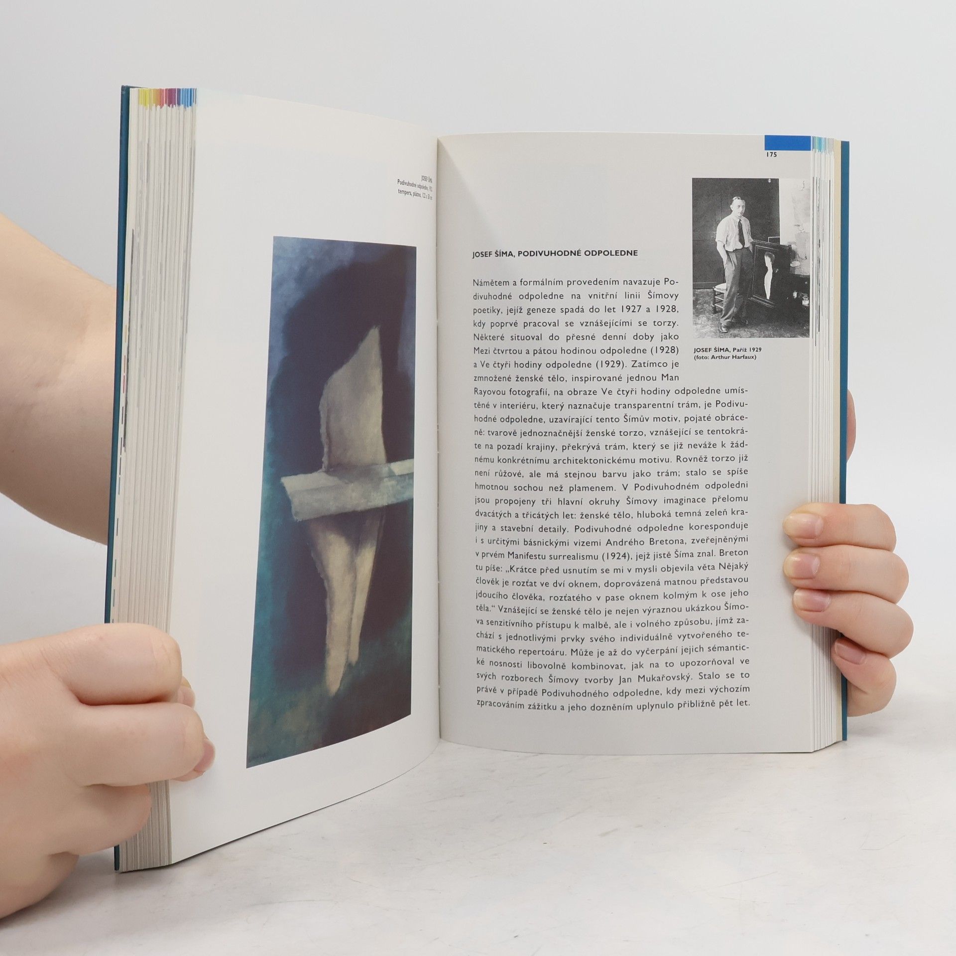 Autorenkollektiv České moderní umění 1900-1960 (katalog stálé expozice)