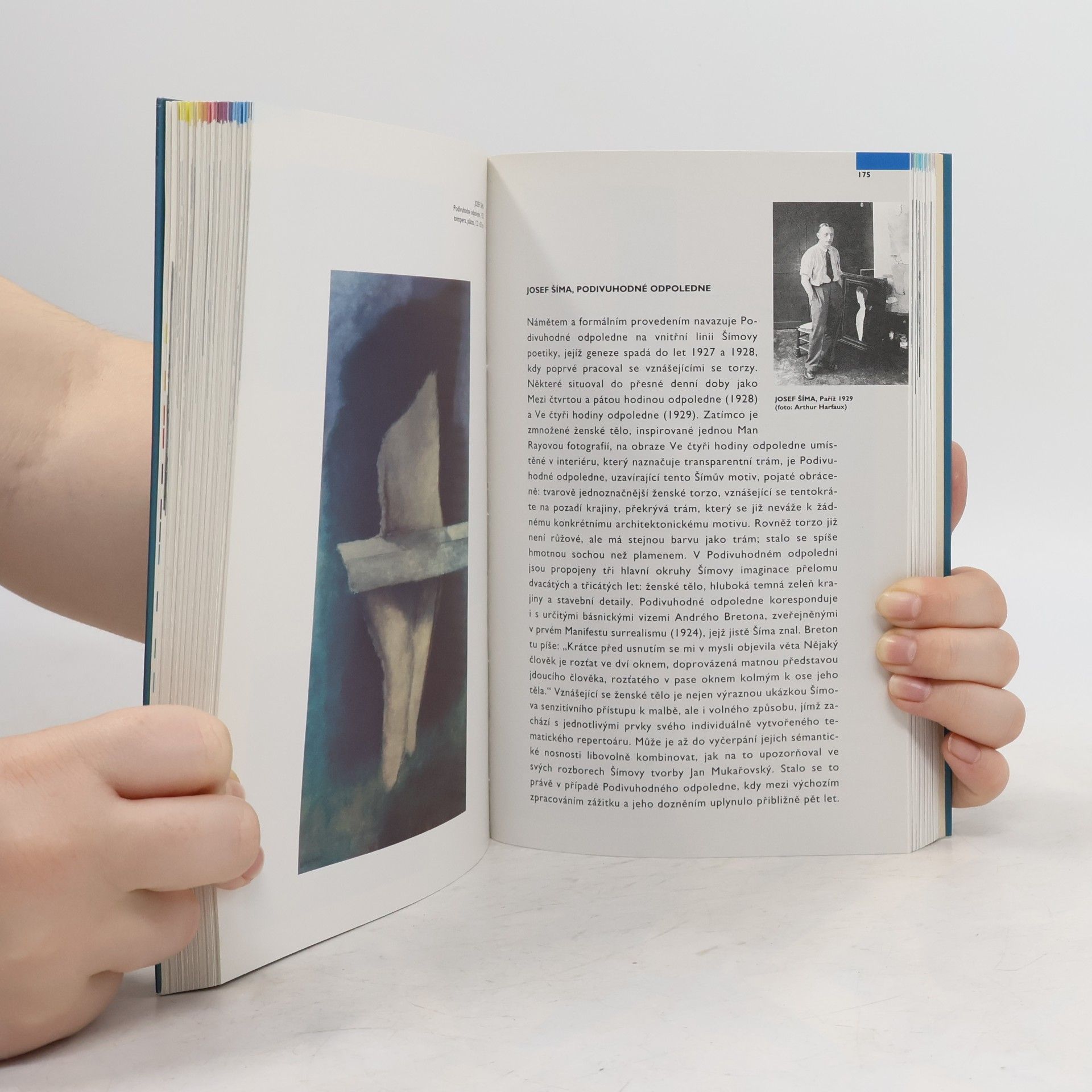 Autorenkollektiv České moderní umění 1900-1960 (katalog stálé expozice)