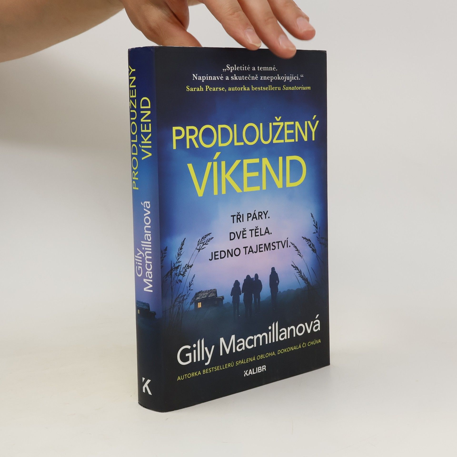 Gilly Macmillan Prodloužený víkend