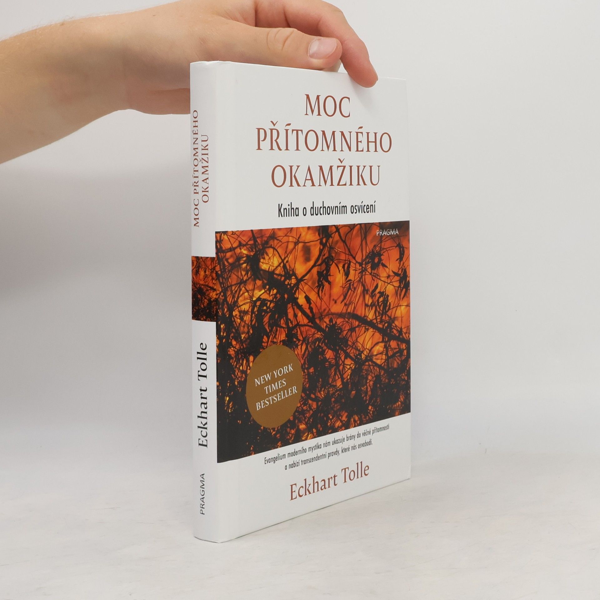 Eckhart Tolle Moc přítomného okamžiku