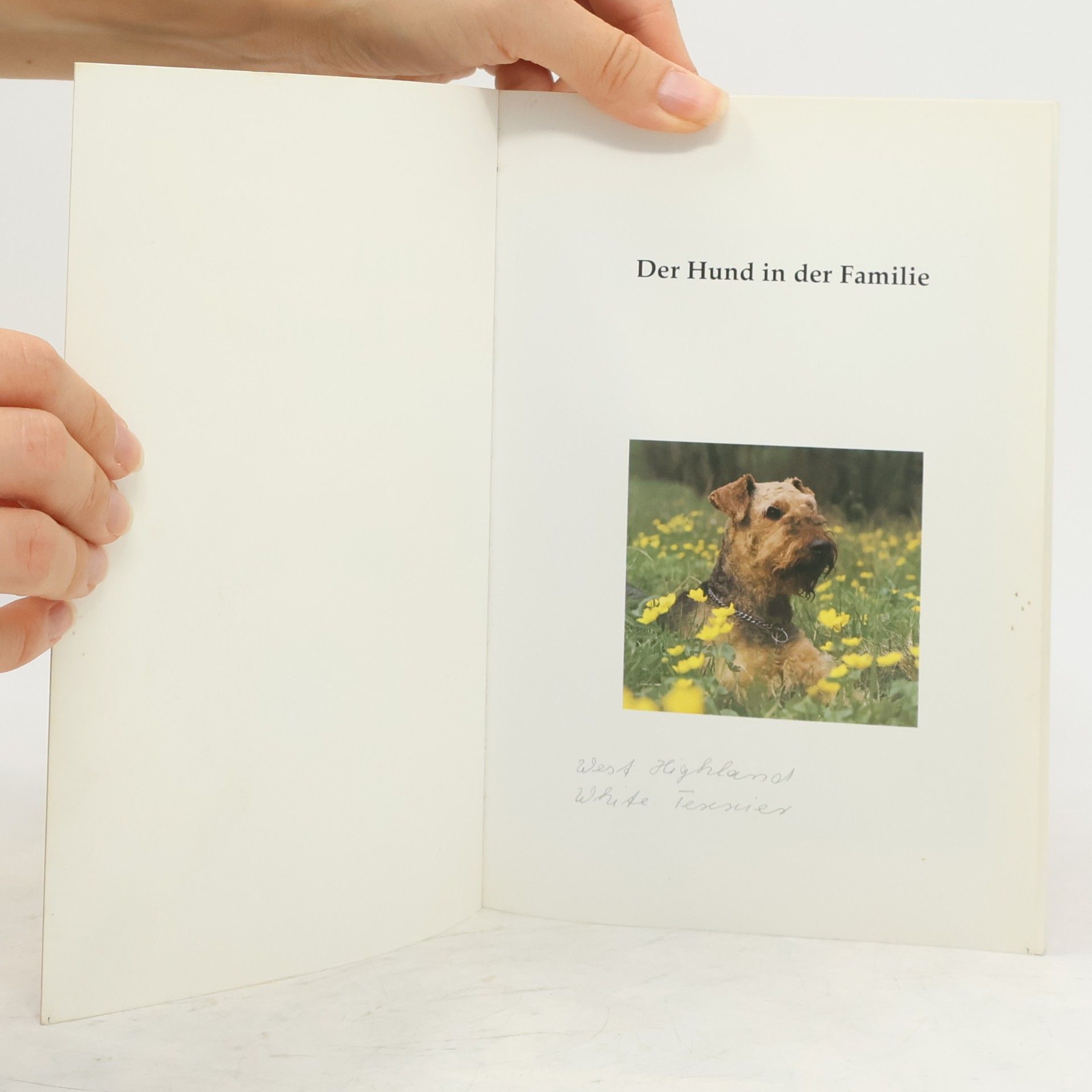 Johannes Werner Der Hund in der Familie