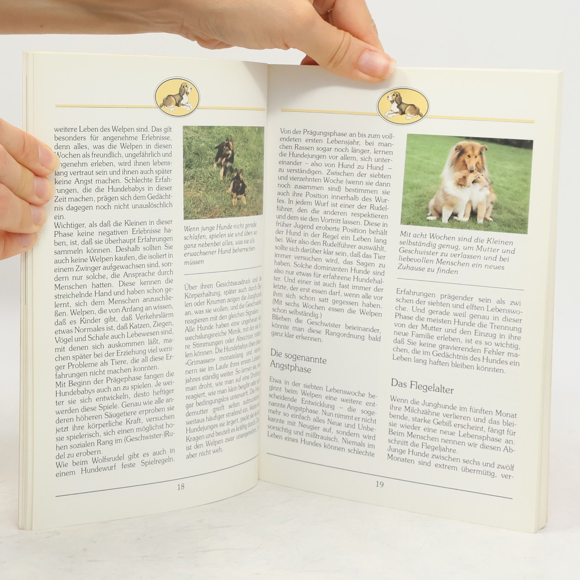 Johannes Werner Der Hund in der Familie
