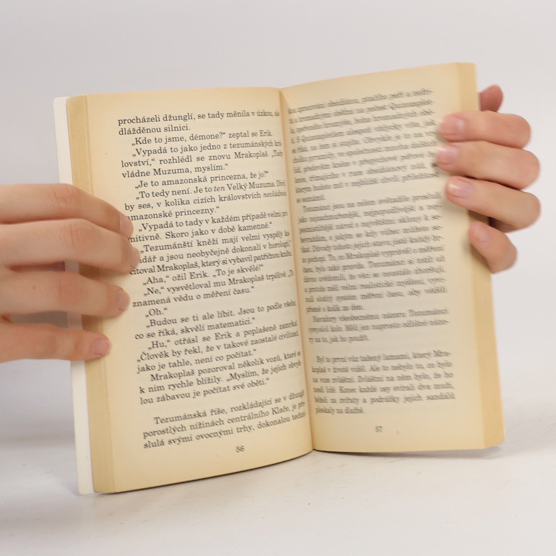 Terry Pratchett Faust Erik: Úžasná Zeměplocha