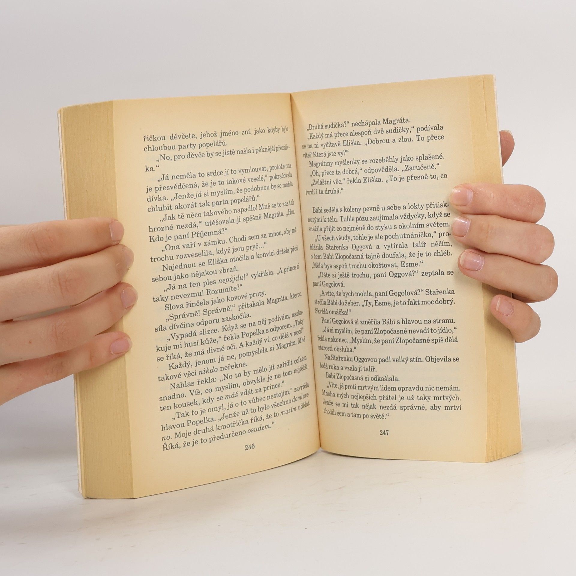 Terry Pratchett Čarodějky na cestách