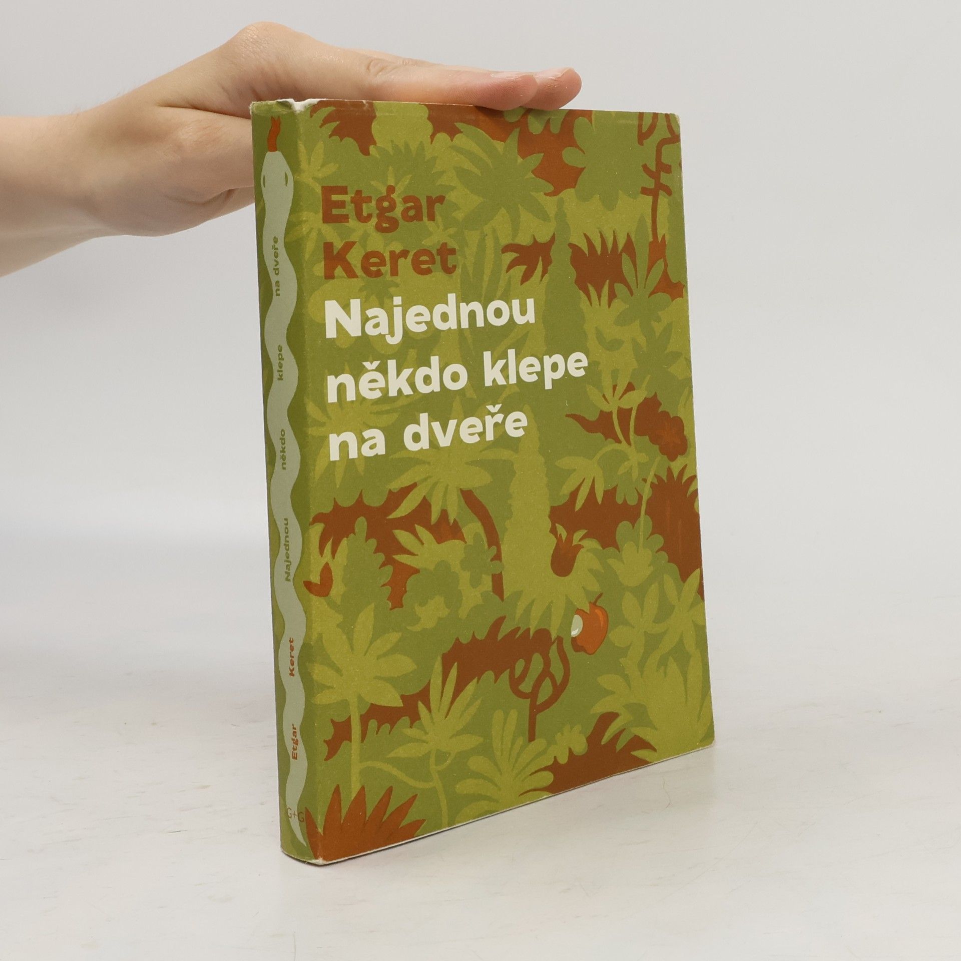 Etgar Keret Najednou někdo klepe na dveře