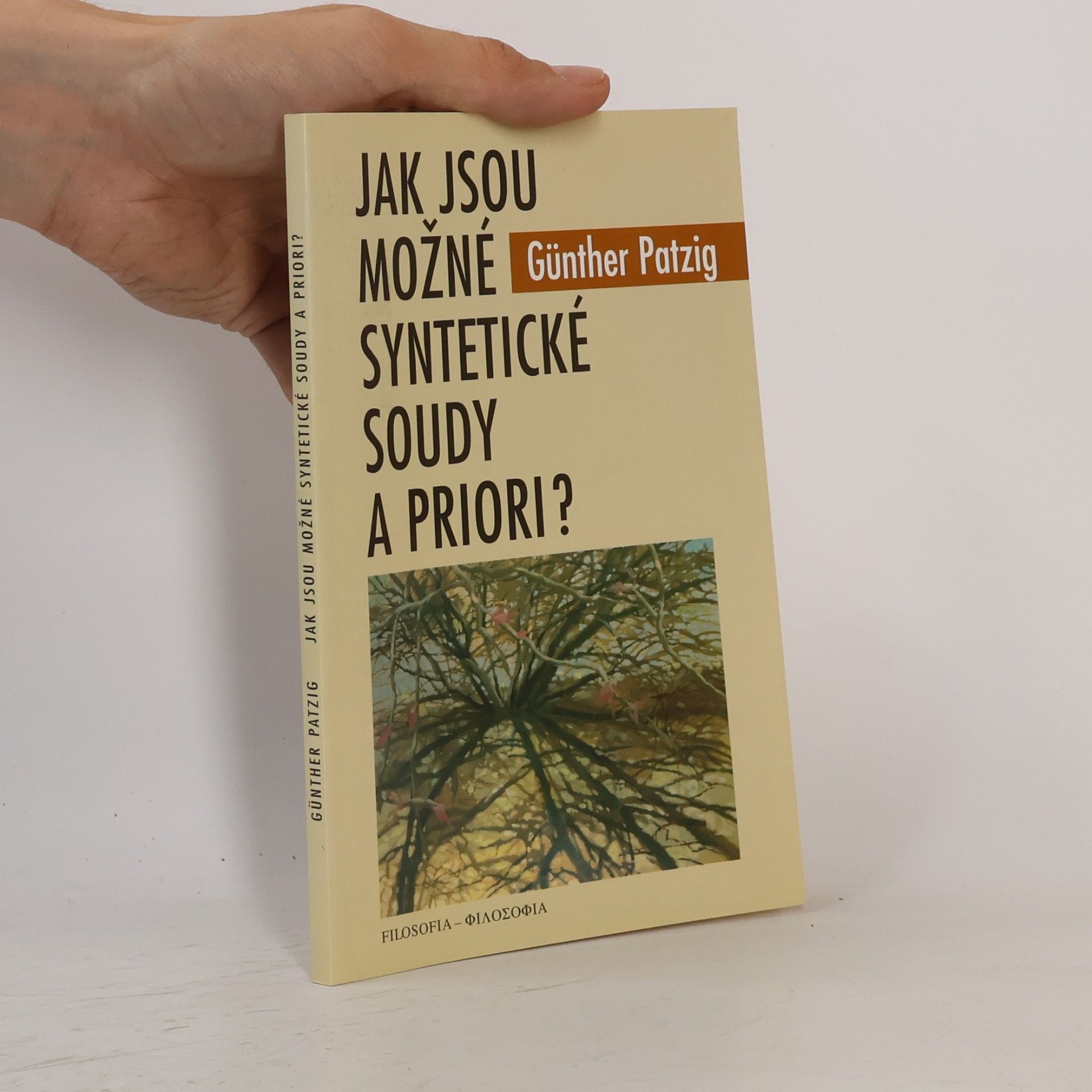Günther Patzig Jak jsou možné syntetické soudy a priori?