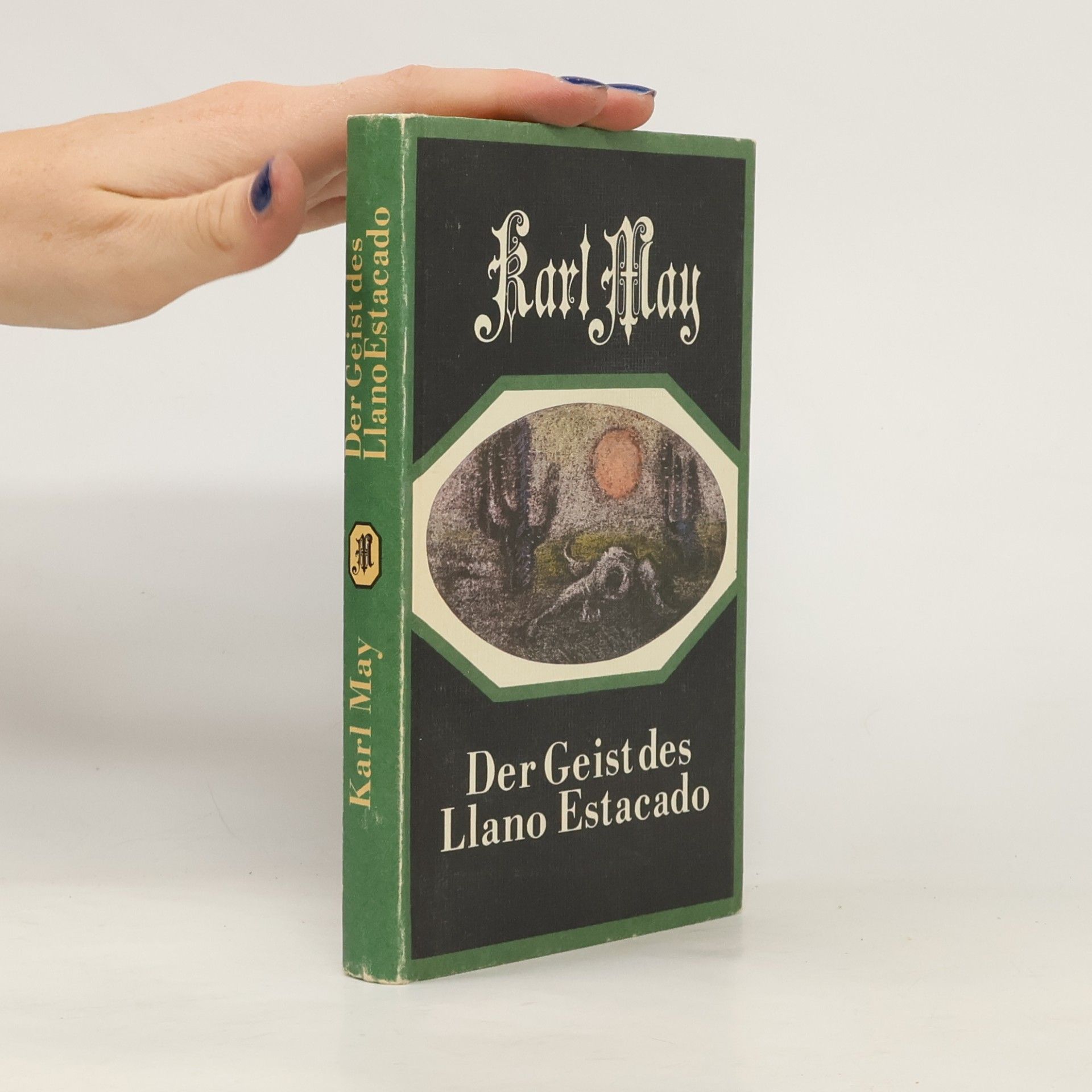 Karl May Der Geist des Llano Estakado