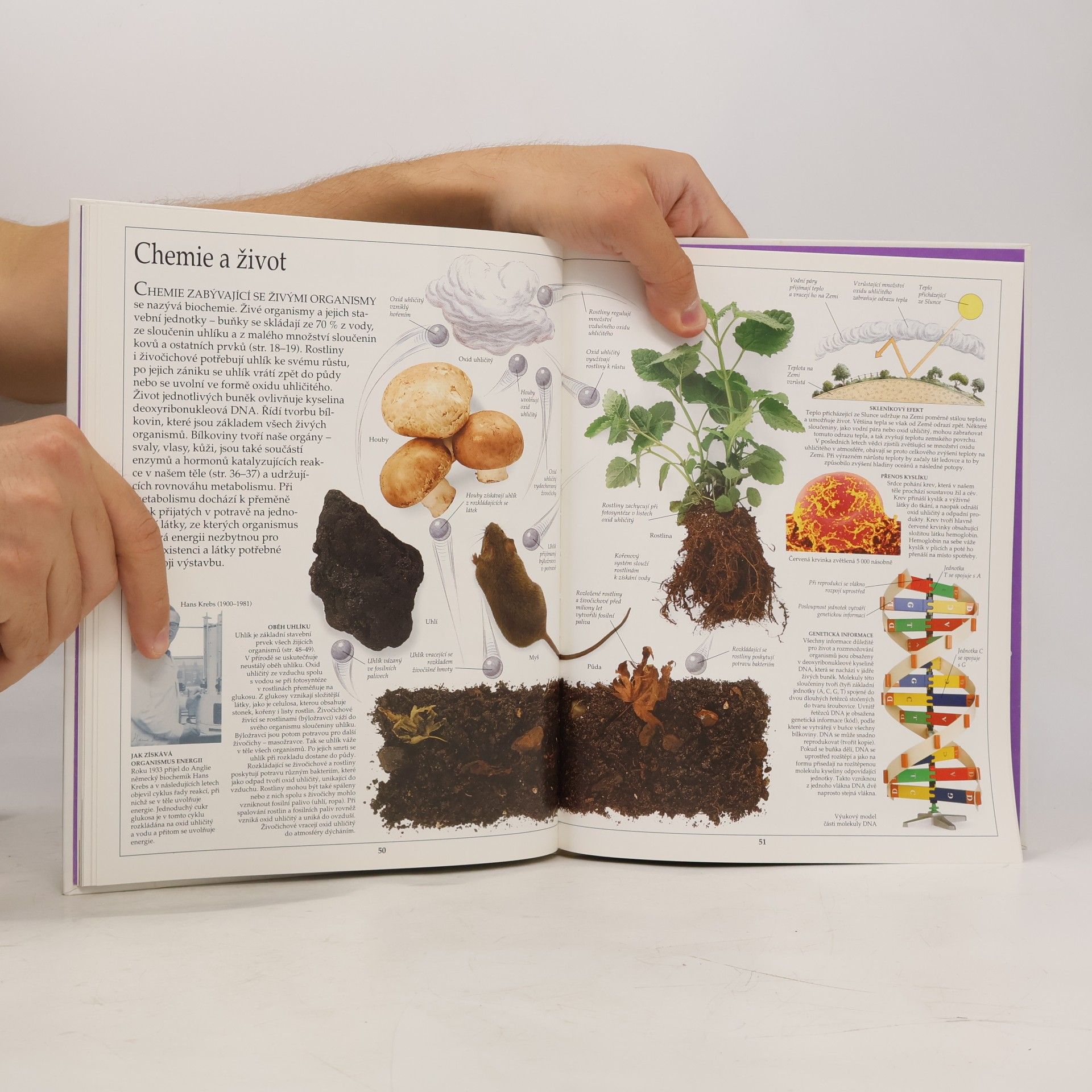 Ann Newmark Chemie