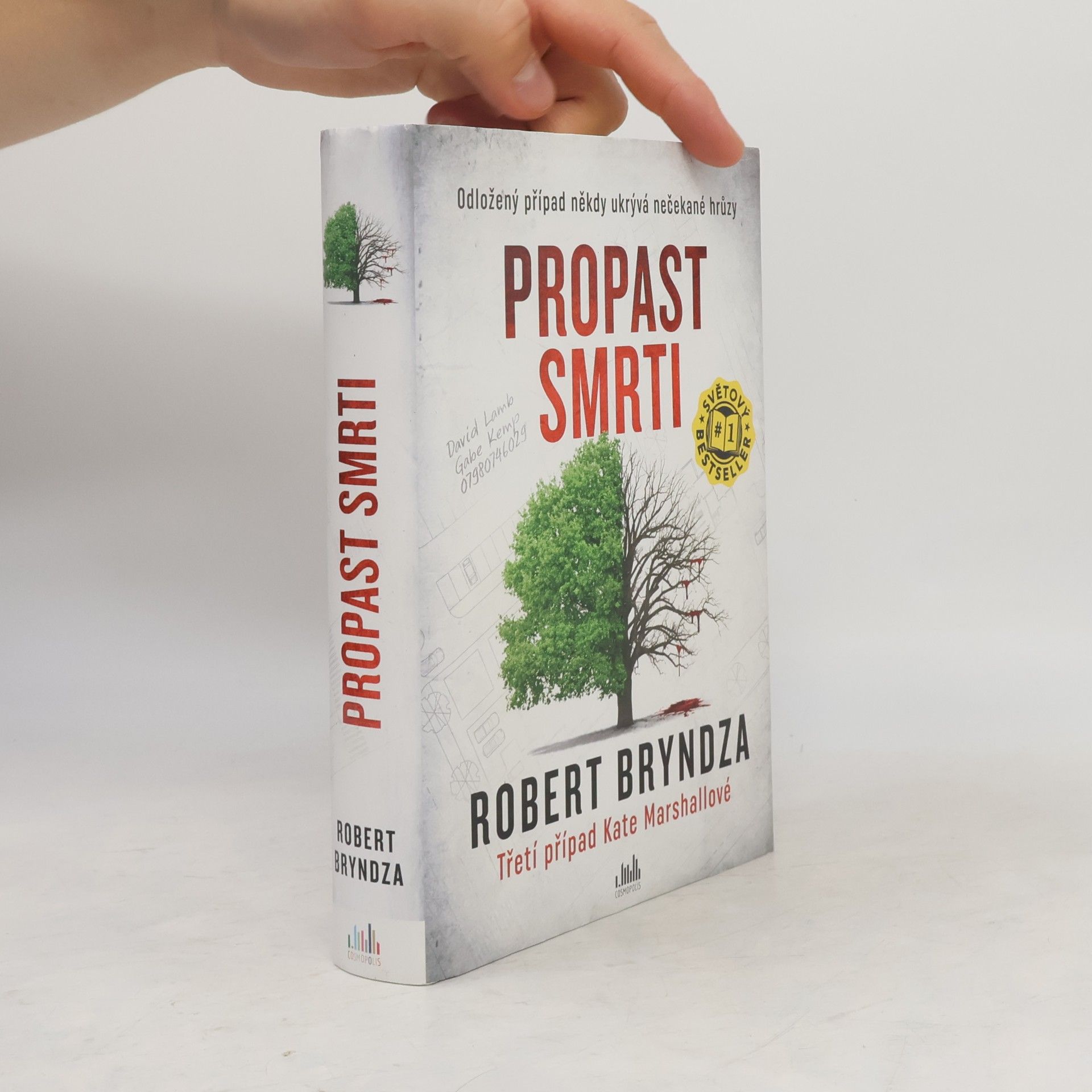 Robert Bryndza Propast smrti