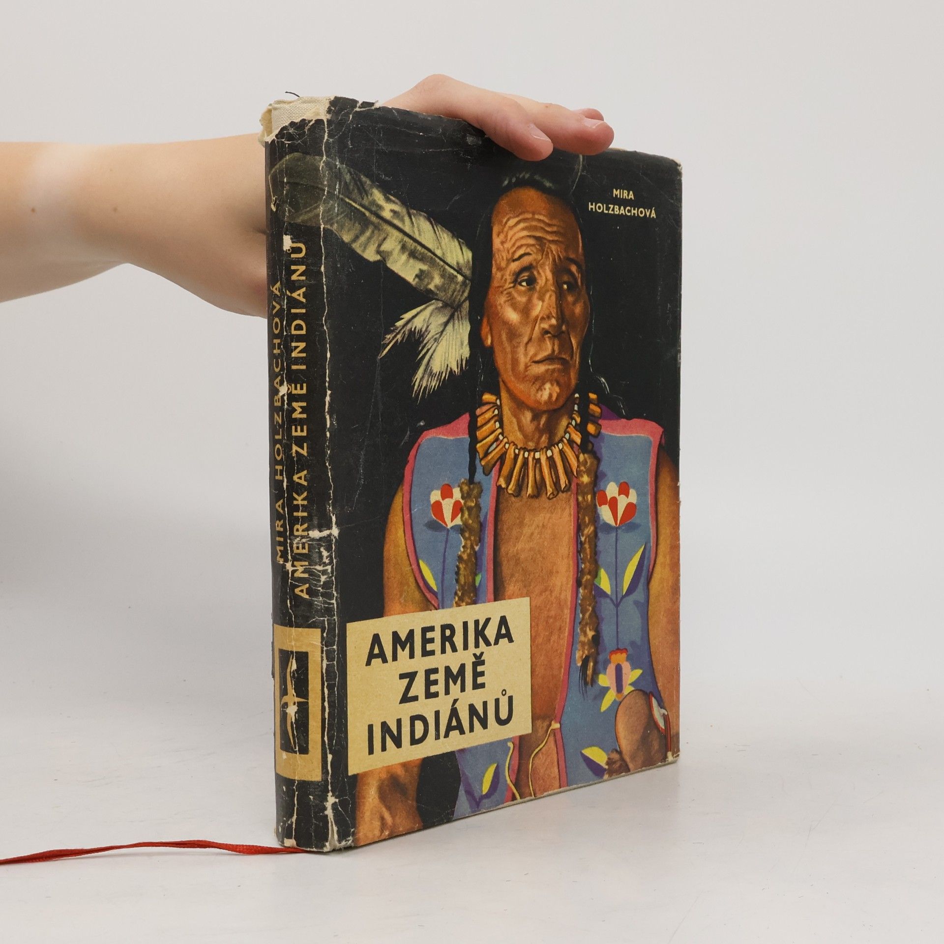 Mira Holzbachová Amerika, země Indiánů