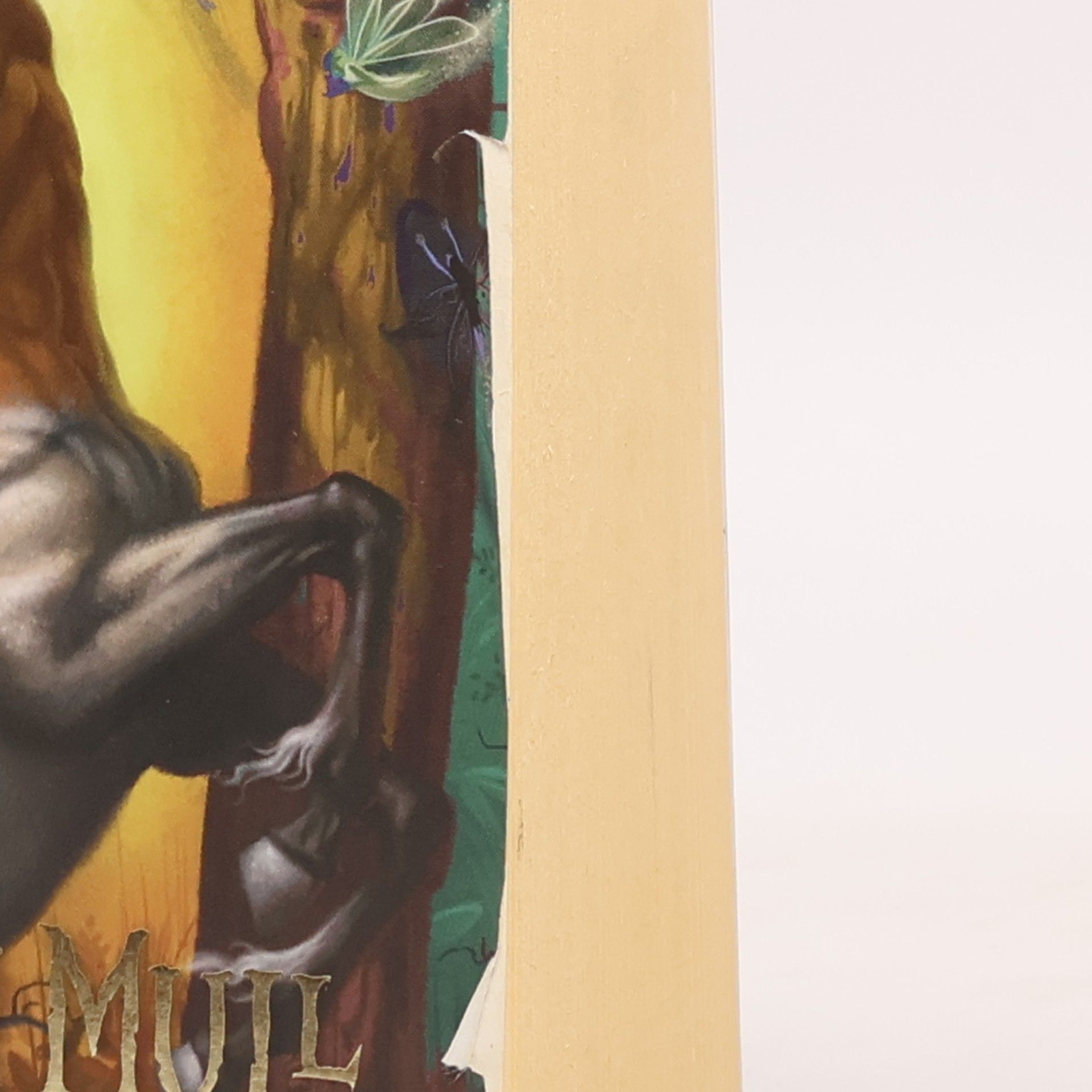 Brandon Mull Fablehaven 3