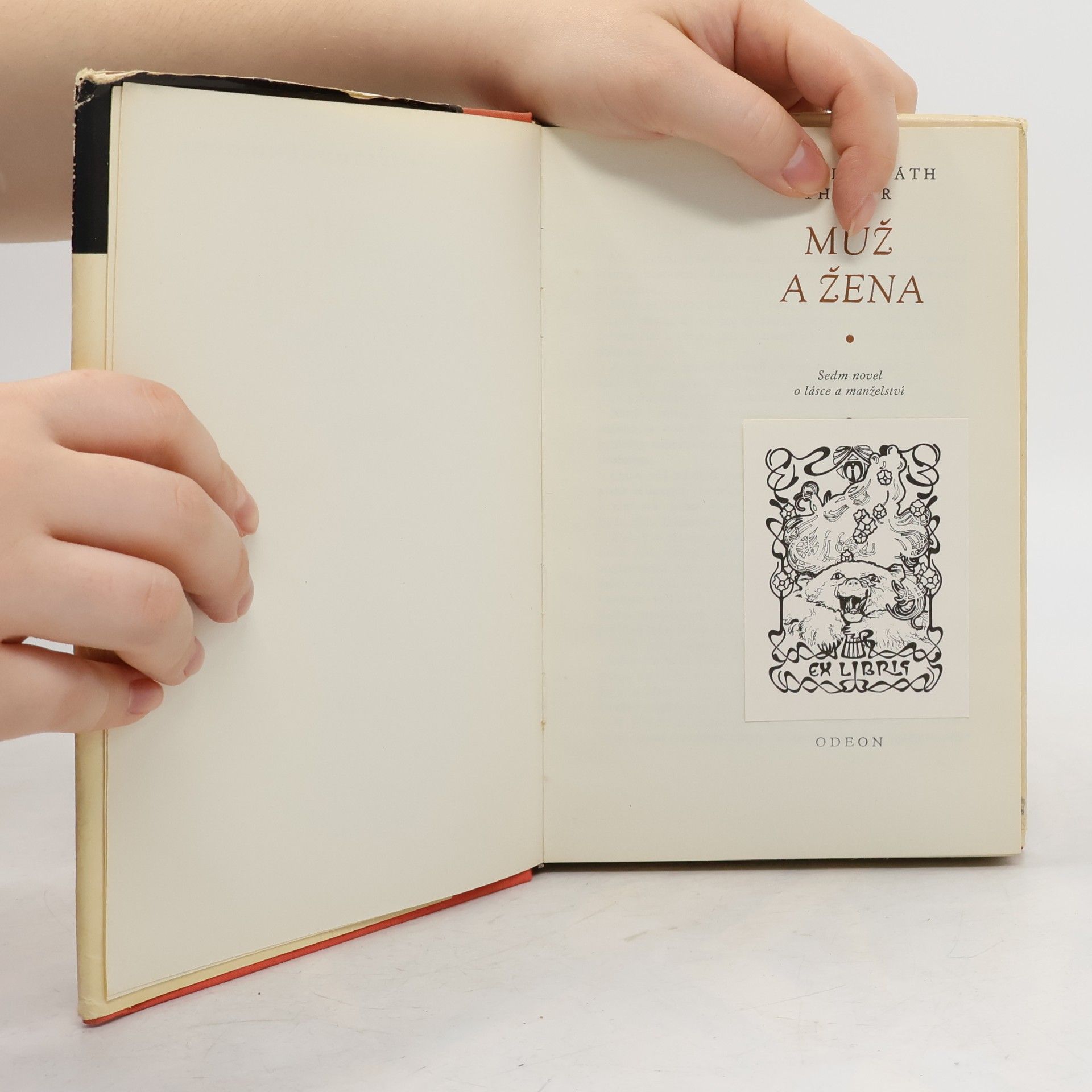 Rabindranath Tagore Muž a žena