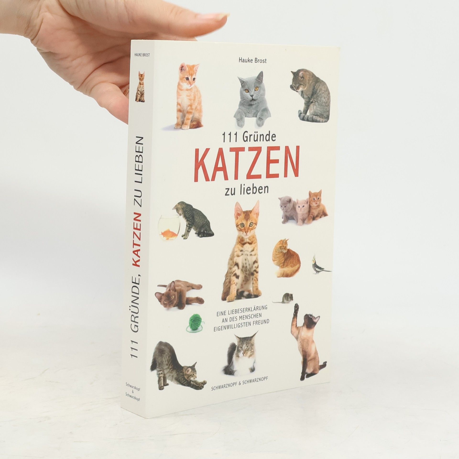 Hauke Brost 111 Gründe, Katzen zu lieben