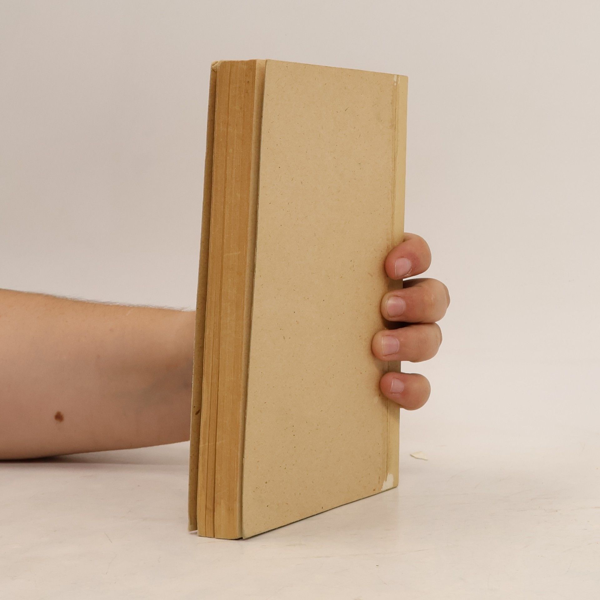 Iris Murdoch Hrad z písku
