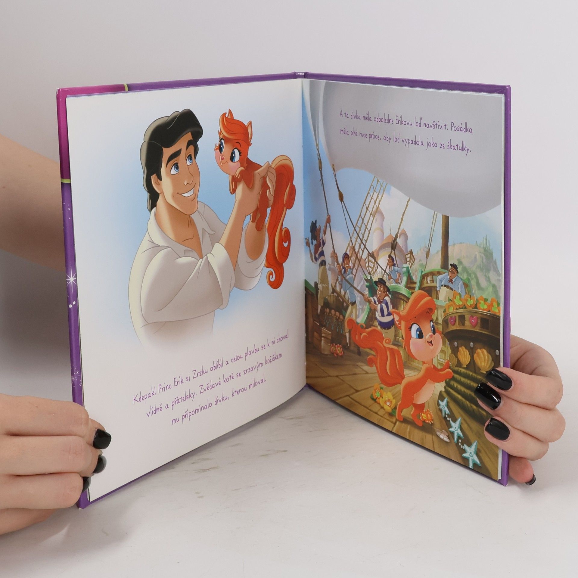 Walt Disney Palace Pets - Zrzka