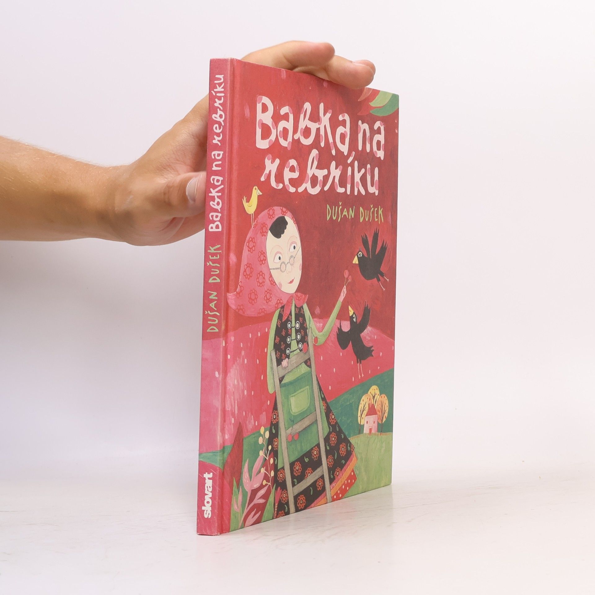 Dušan Dušek Babka na rebríku