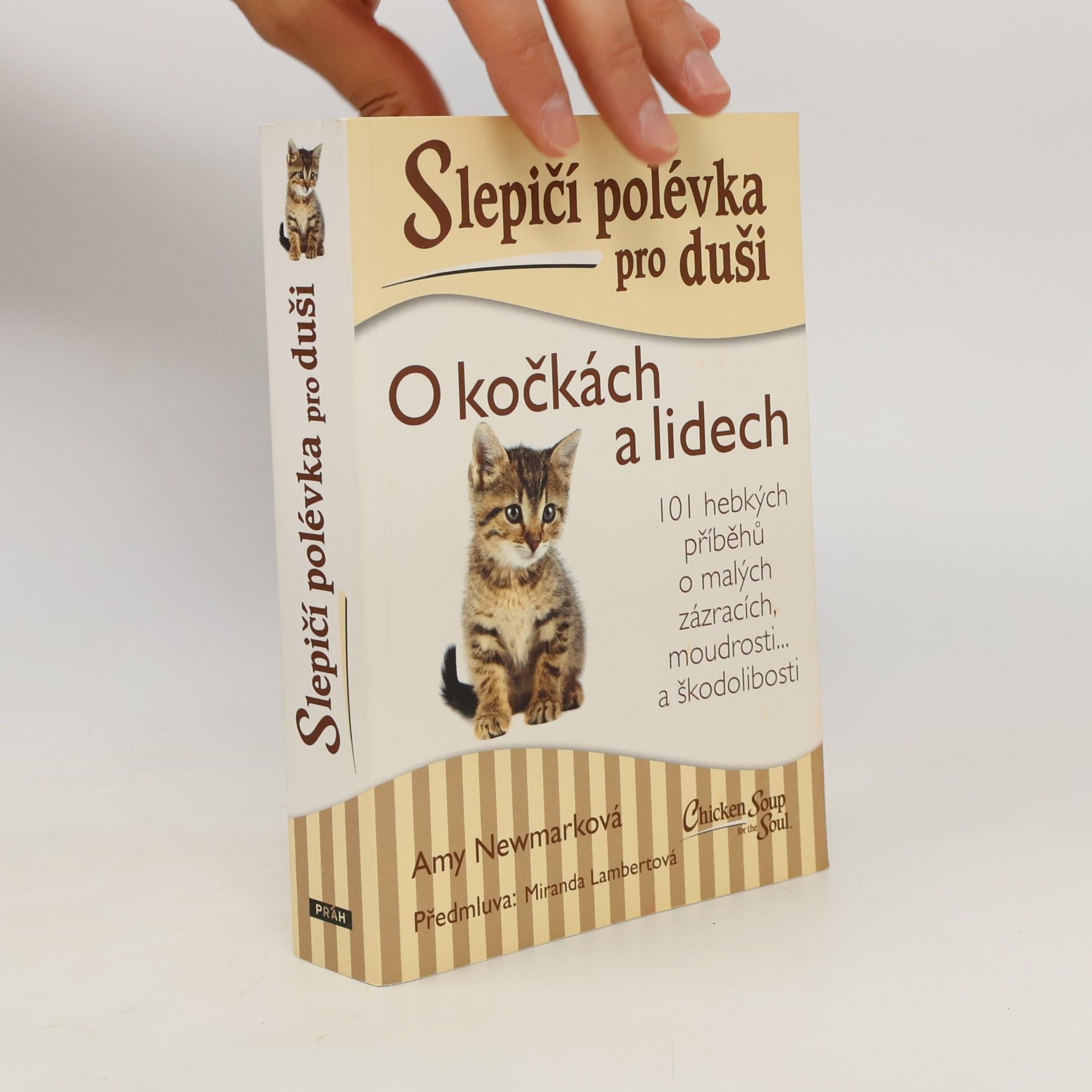 Amy Newmark Slepičí polévka pro duši