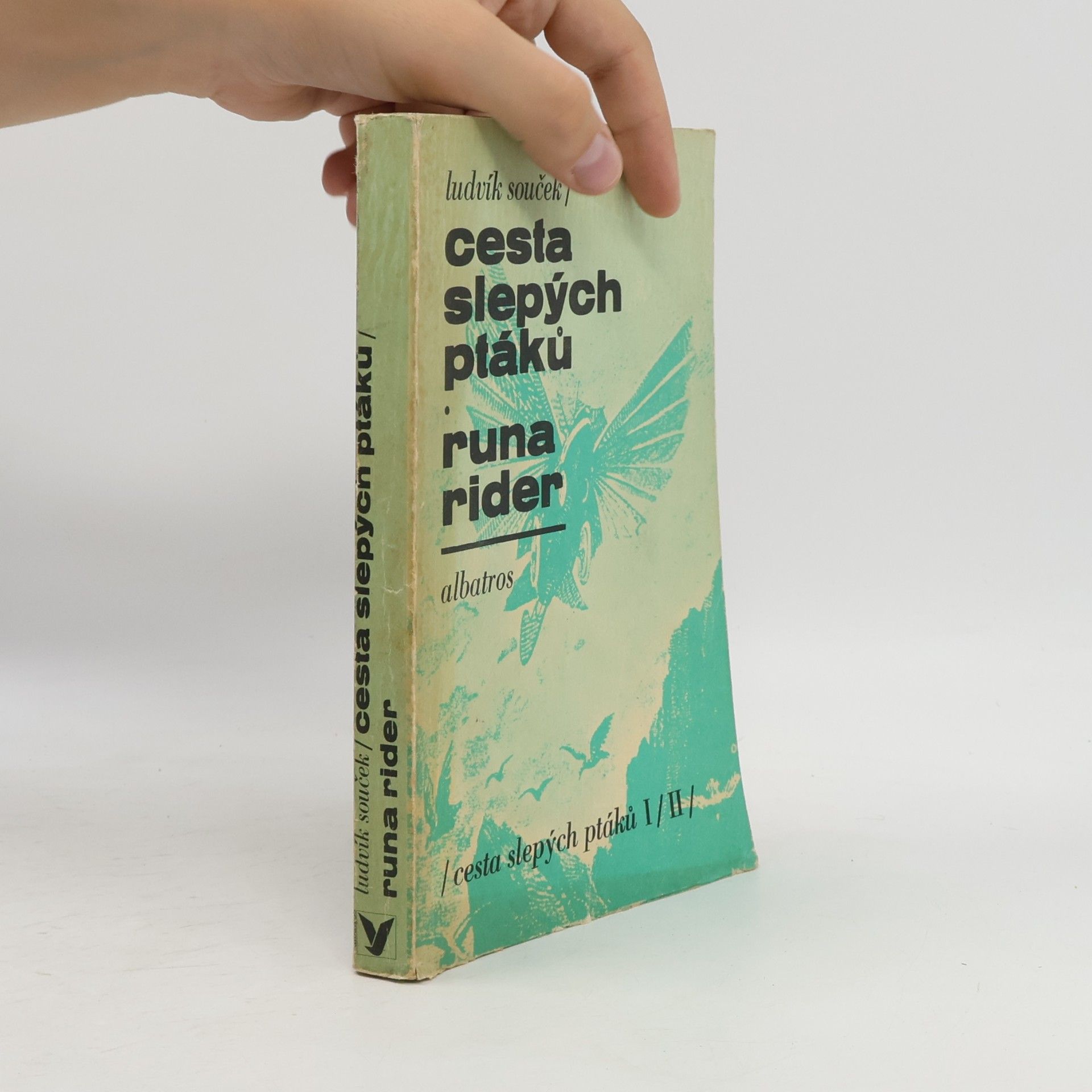Ludvík Souček Cesta slepých ptáků. Runa rider