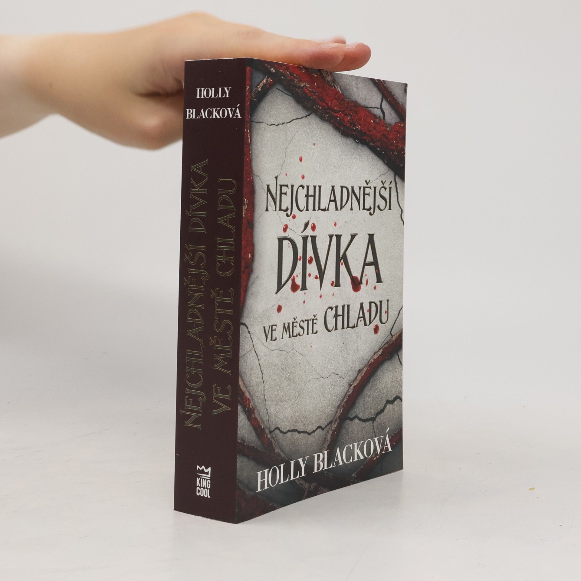 Holly Black Nejchladnější dívka ve městě chladu