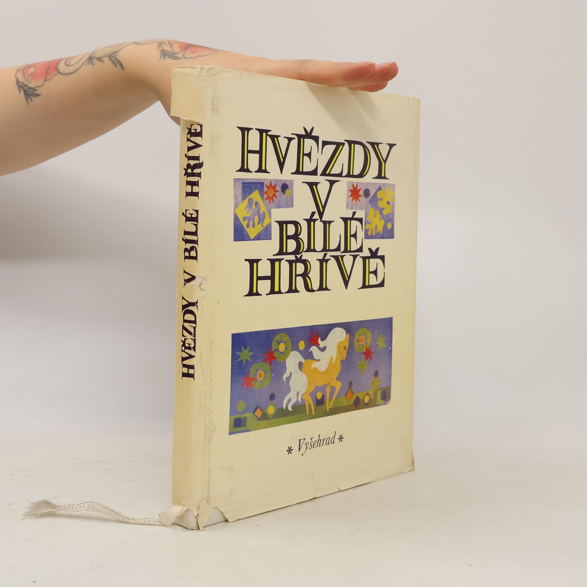 Hvězdy v bílé hřívě