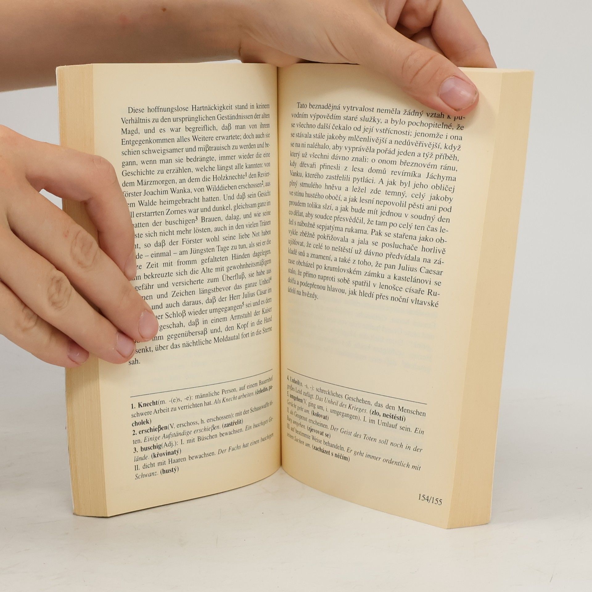 Rainer Maria Rilke Dvě pražské povídky. Zwei Prager Geschichten