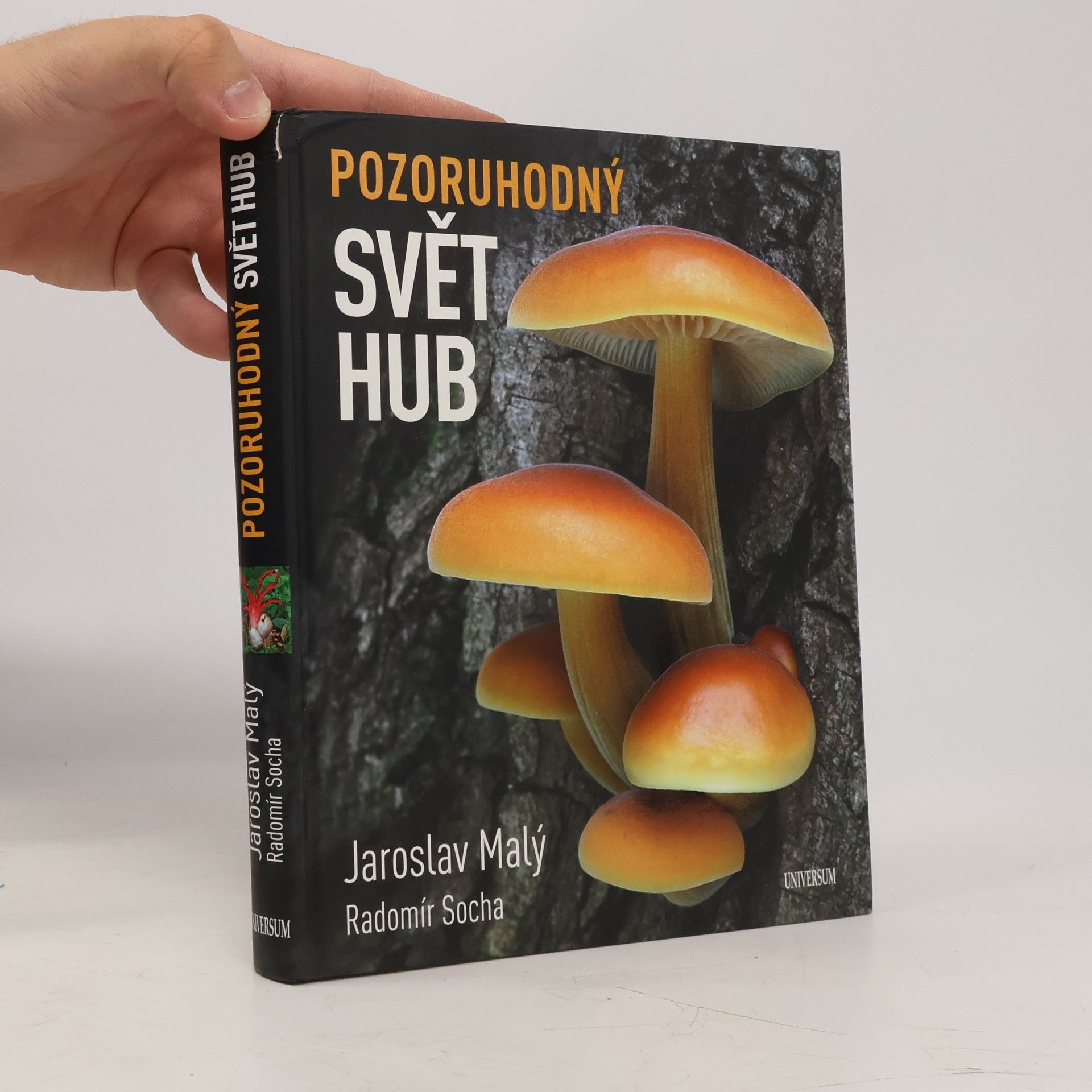 Radomír Socha Pozoruhodný svět hub
