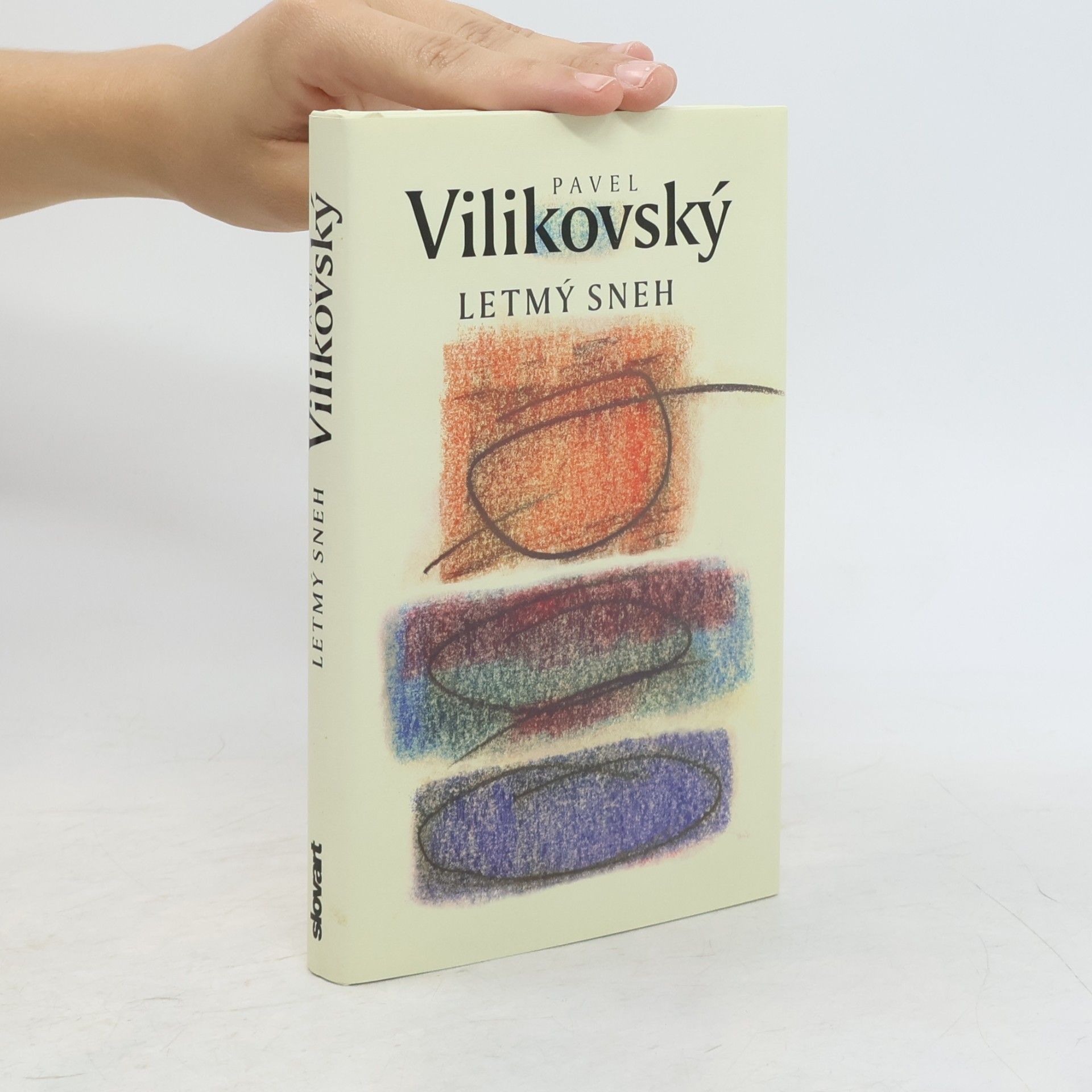 Pavel Vilikovský Letmý sneh