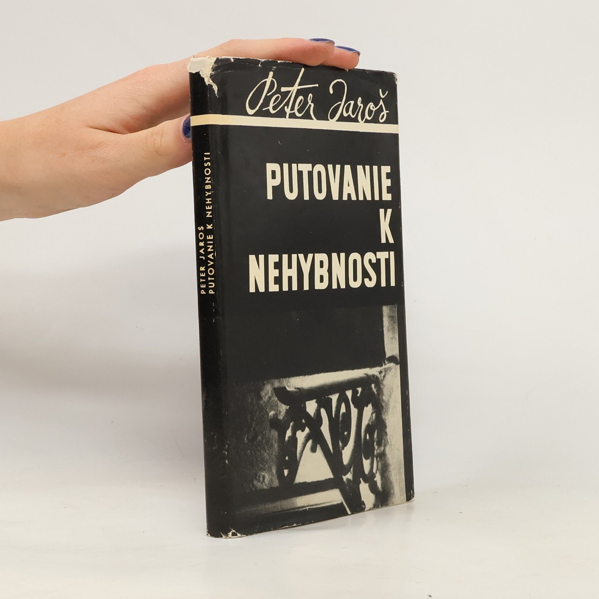 Putovanie k nehybnosti