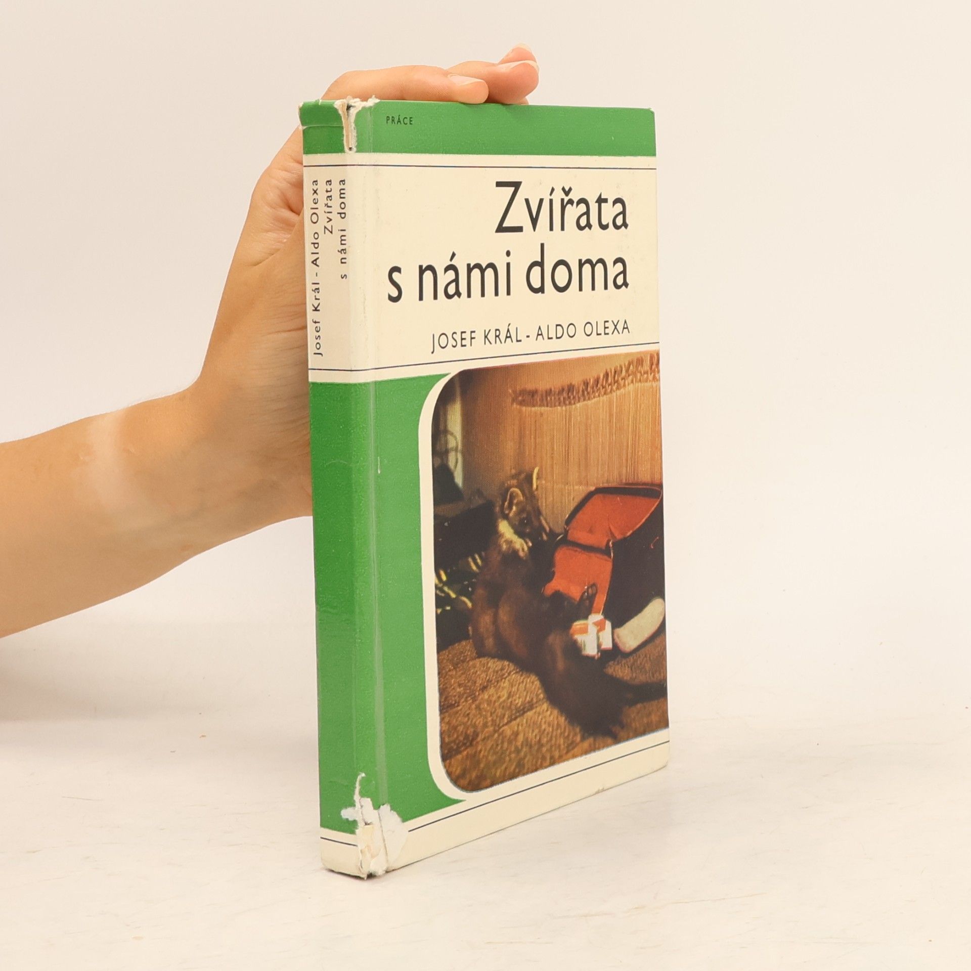 Aldo Olexa Zvířata s námi doma